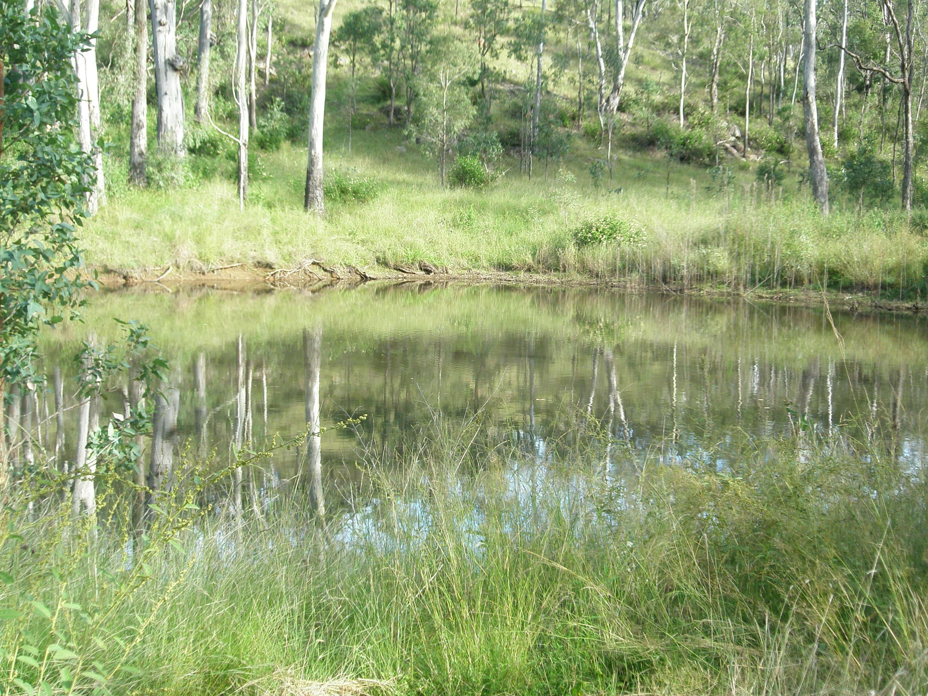 LOT 73 Maidenwell-Cooyar Road, Maidenwell QLD 4615, Maidenwell - Thumbnail 3