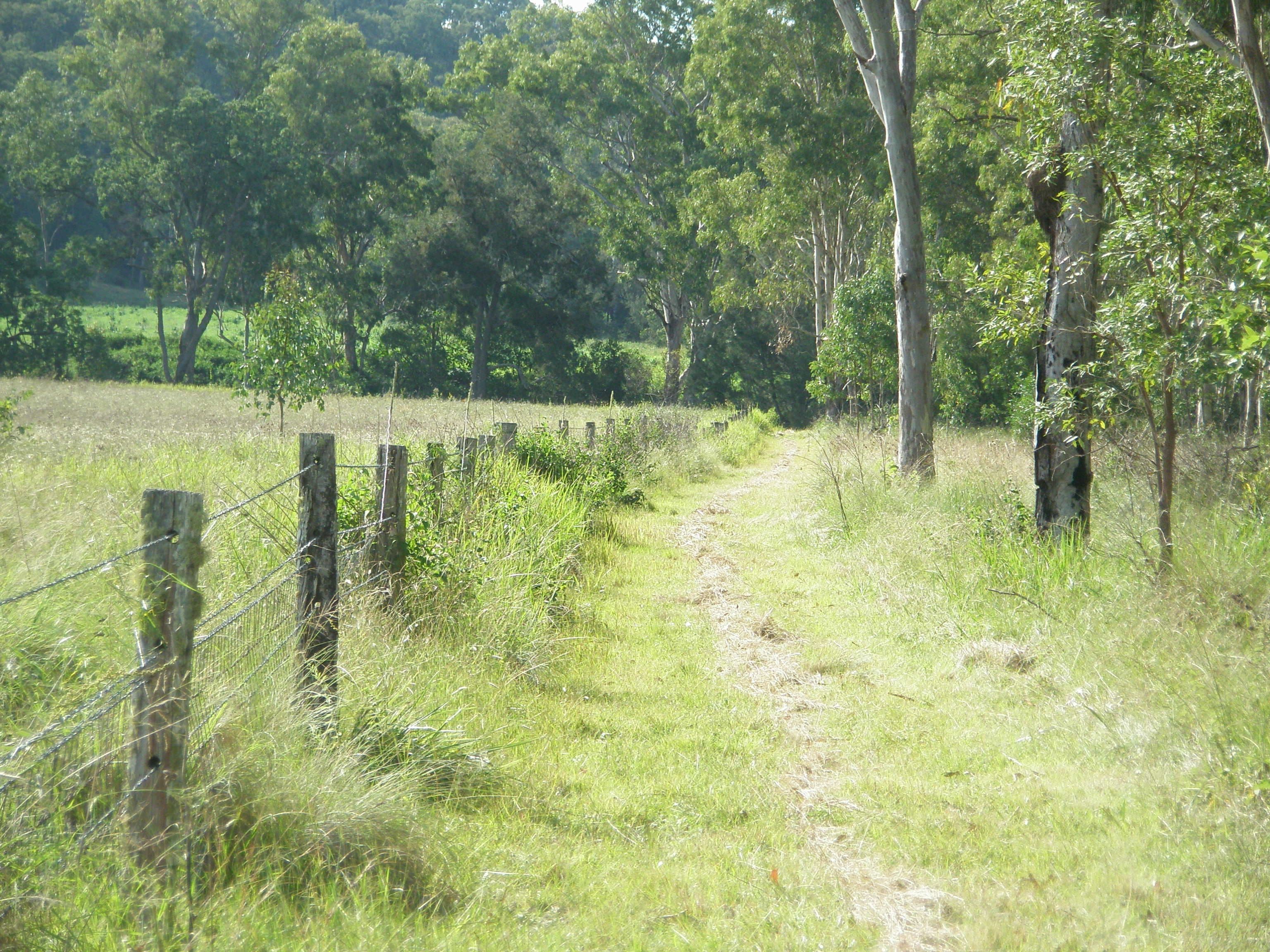 LOT 73 Maidenwell-Cooyar Road, Maidenwell QLD 4615, Maidenwell - Thumbnail 7
