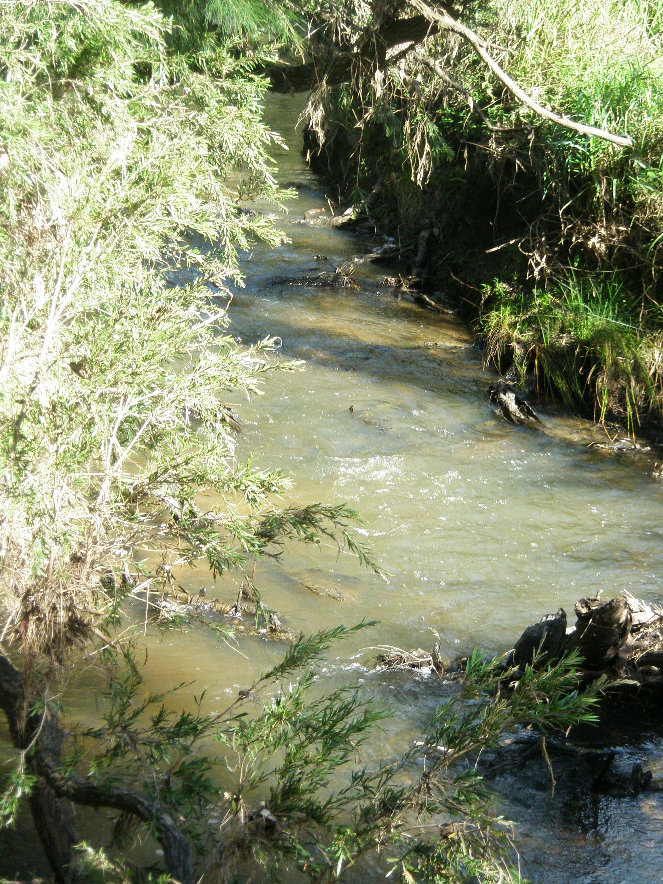 LOT 73 Maidenwell-Cooyar Road, Maidenwell QLD 4615, Maidenwell - Thumbnail 8