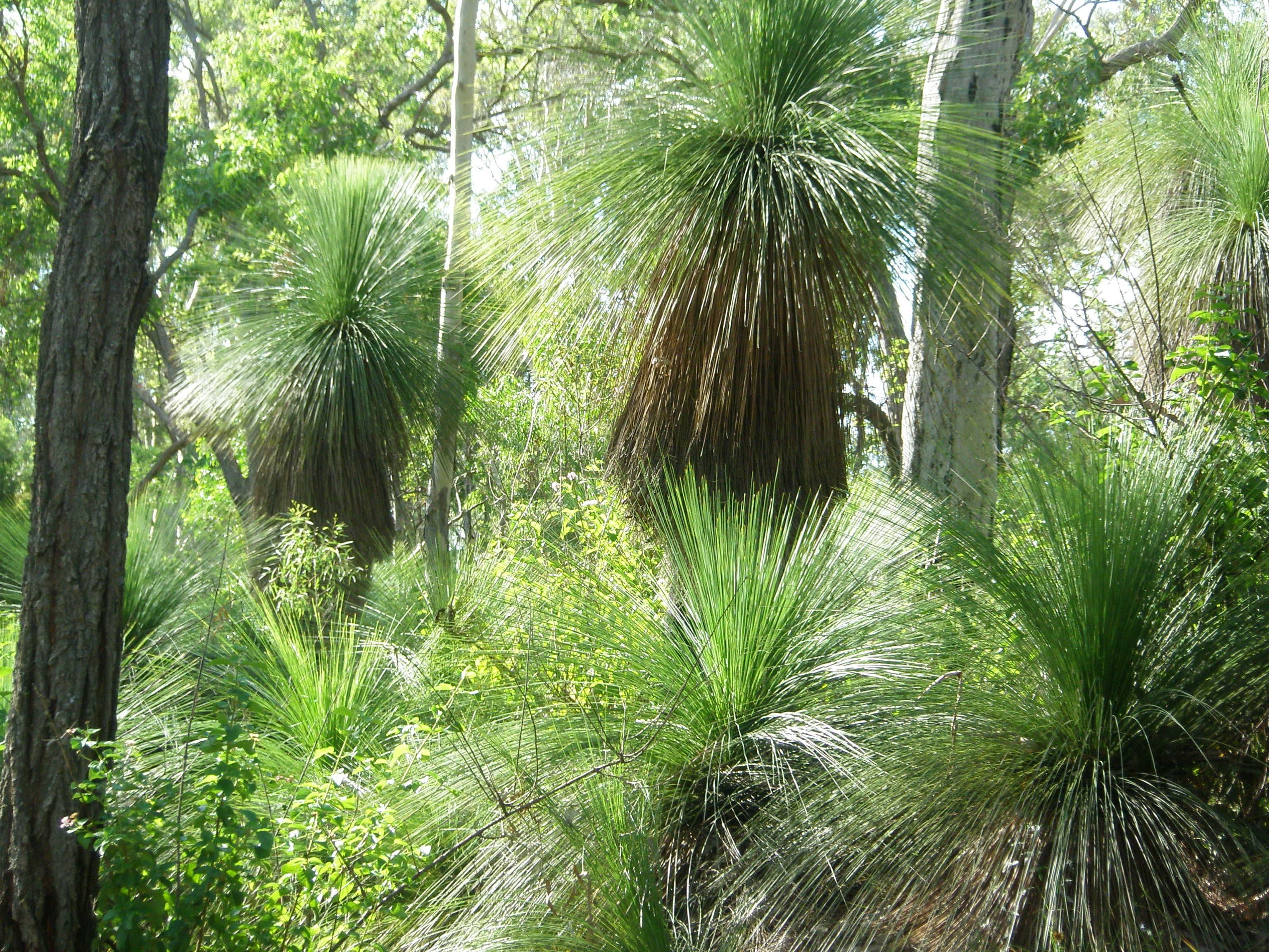 LOT 73 Maidenwell-Cooyar Road, Maidenwell QLD 4615, Maidenwell - Thumbnail 6