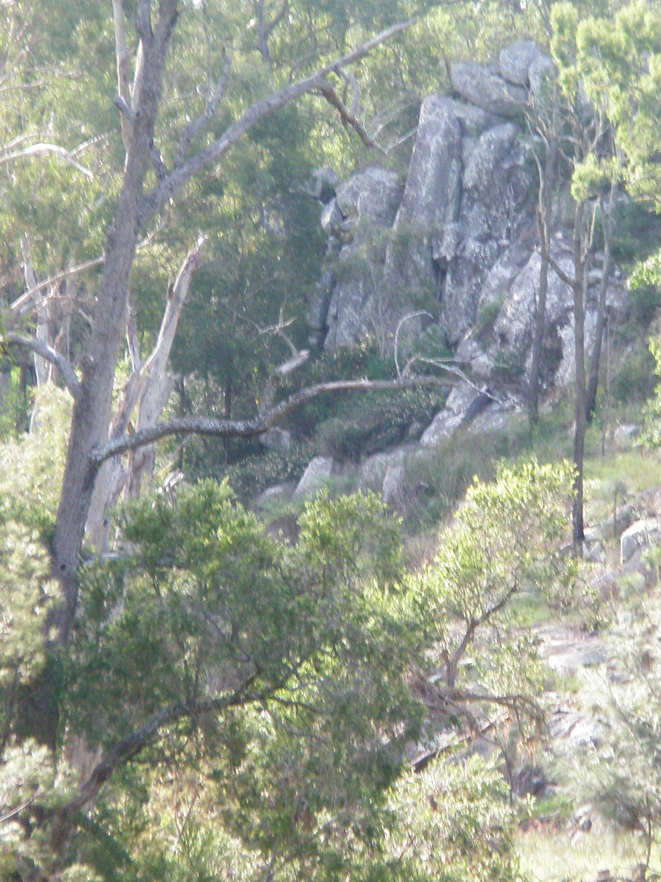 LOT 73 Maidenwell-Cooyar Road, Maidenwell QLD 4615, Maidenwell - Thumbnail 4
