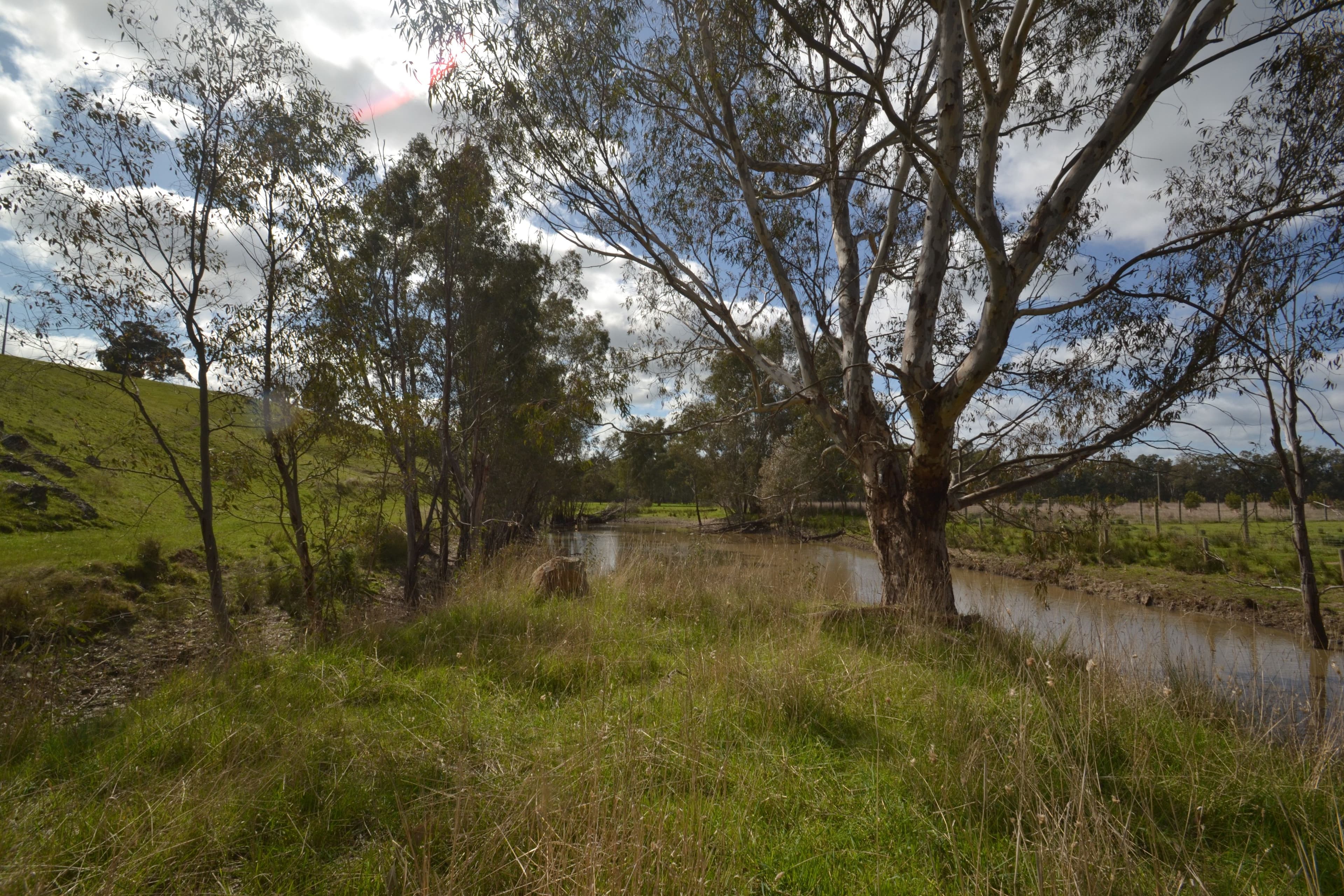320 Northwood Road, Seymour VIC 3660, Seymour - Thumbnail 7
