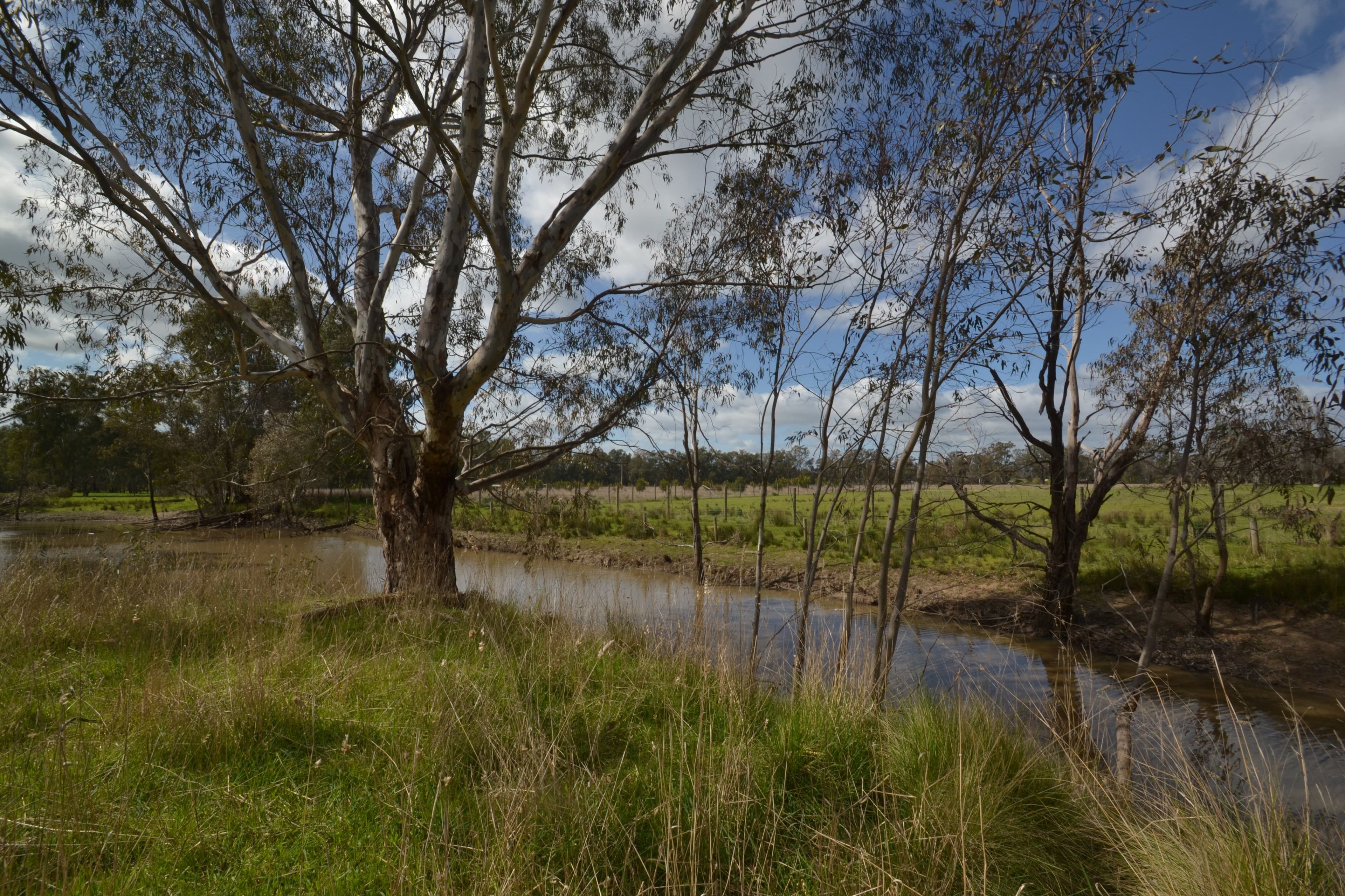 320 Northwood Road, Seymour VIC 3660, Seymour - Thumbnail 8
