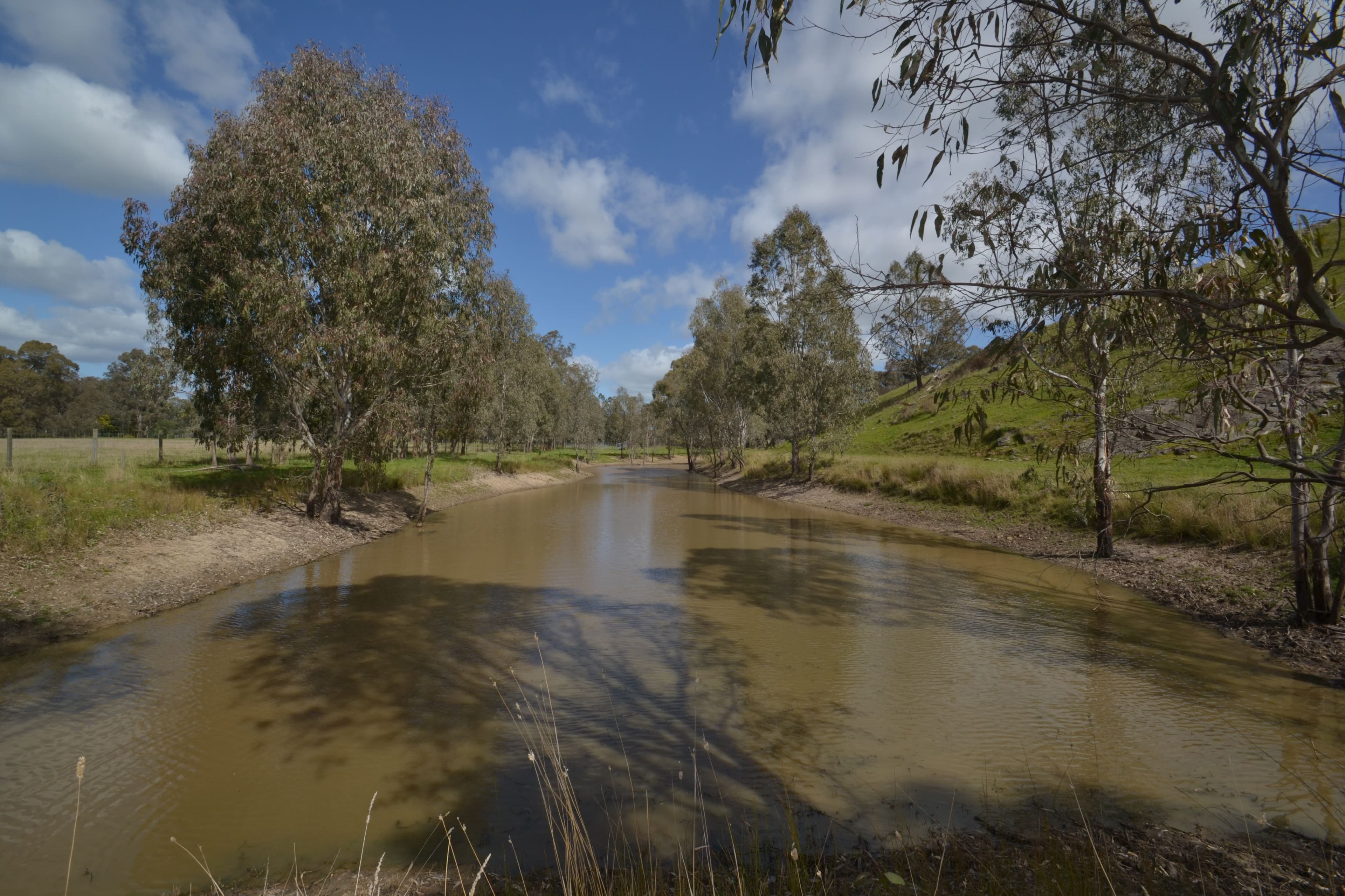 320 Northwood Road, Seymour VIC 3660, Seymour - Thumbnail 6