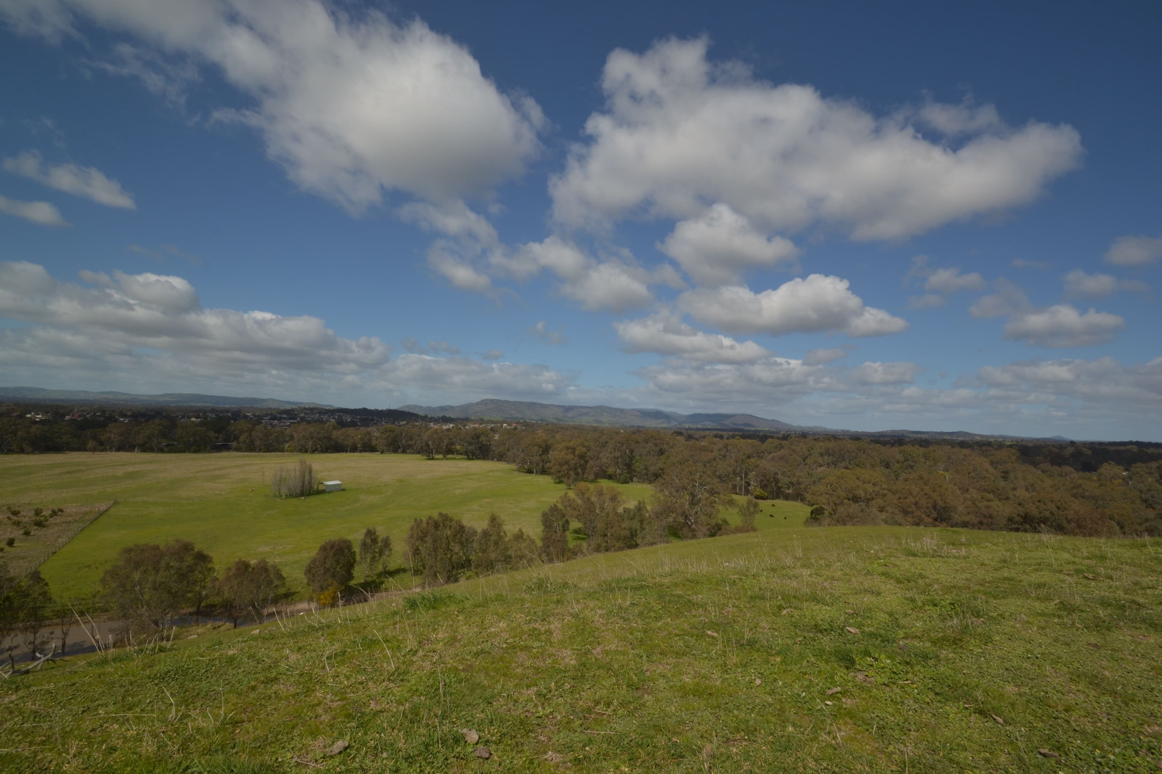 320 Northwood Road, Seymour VIC 3660, Seymour - Thumbnail 4