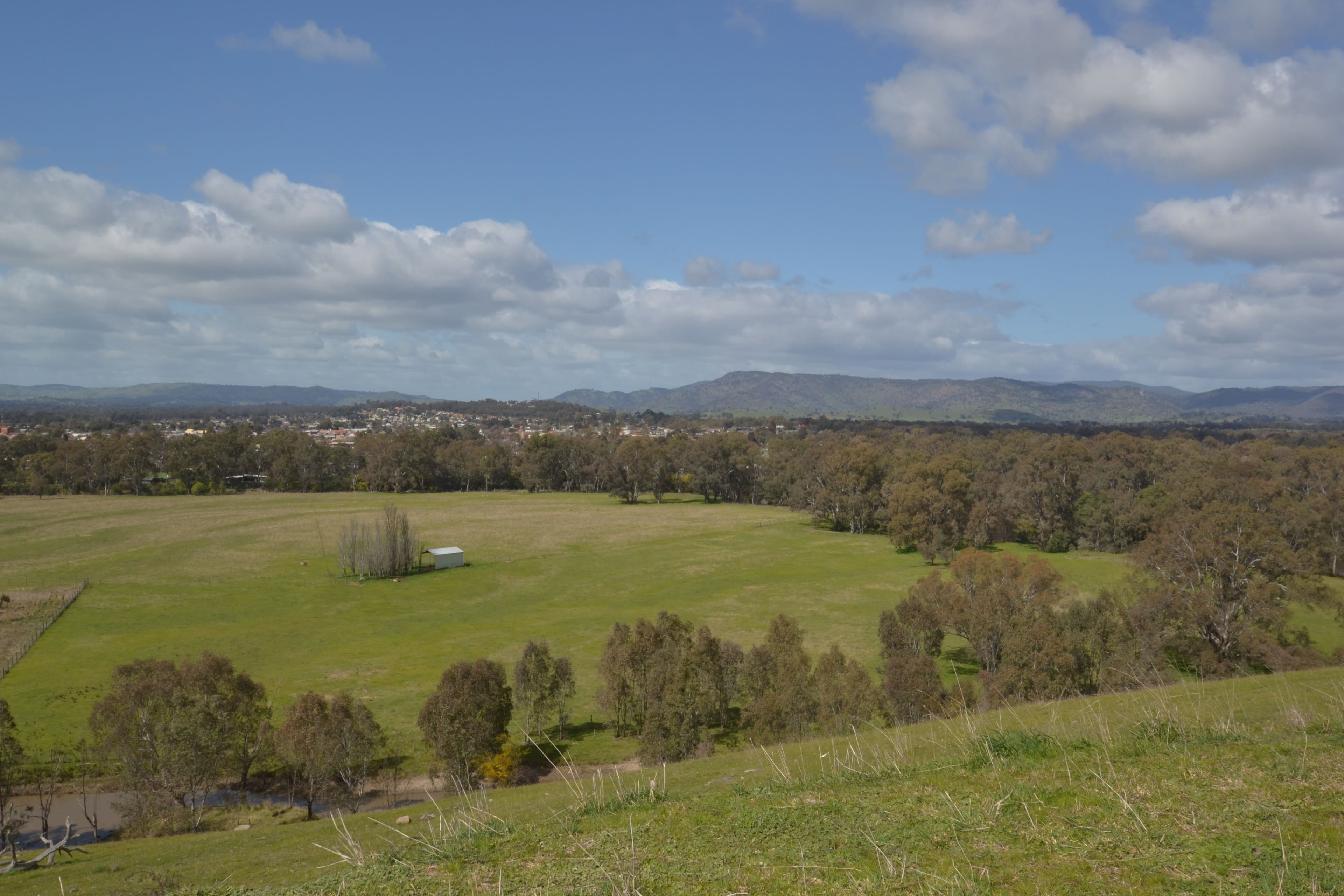 320 Northwood Road, Seymour VIC 3660, Seymour - Thumbnail 3