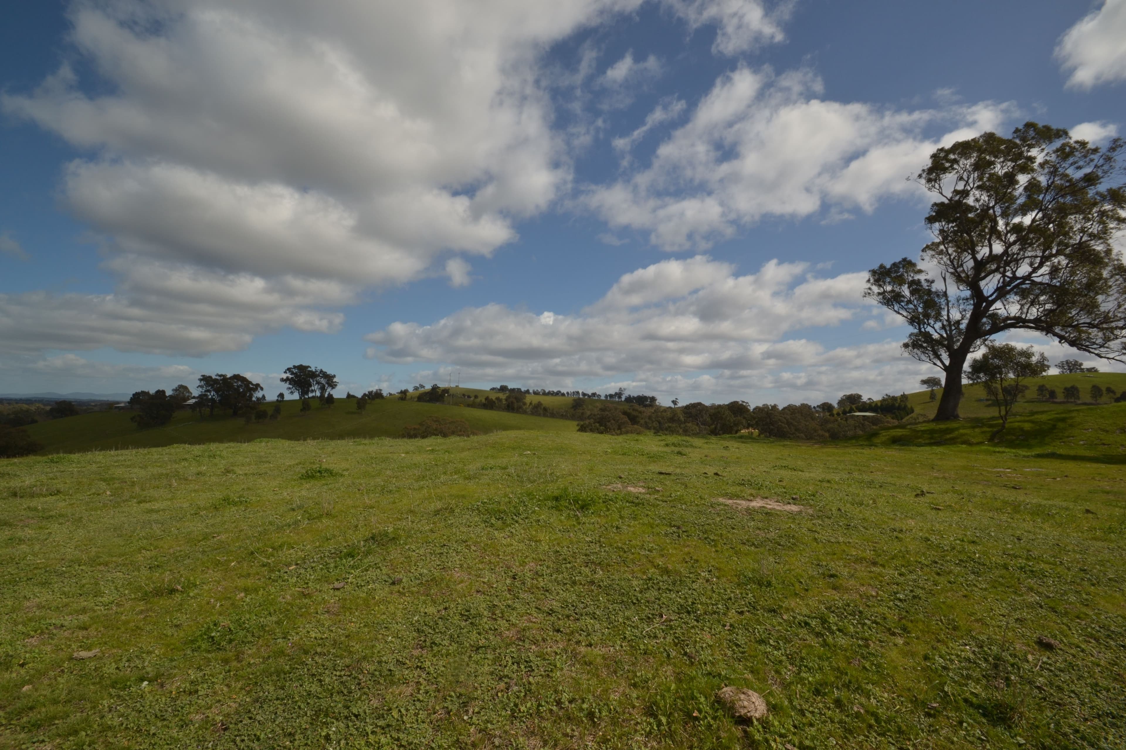 320 Northwood Road, Seymour VIC 3660, Seymour - Thumbnail 5