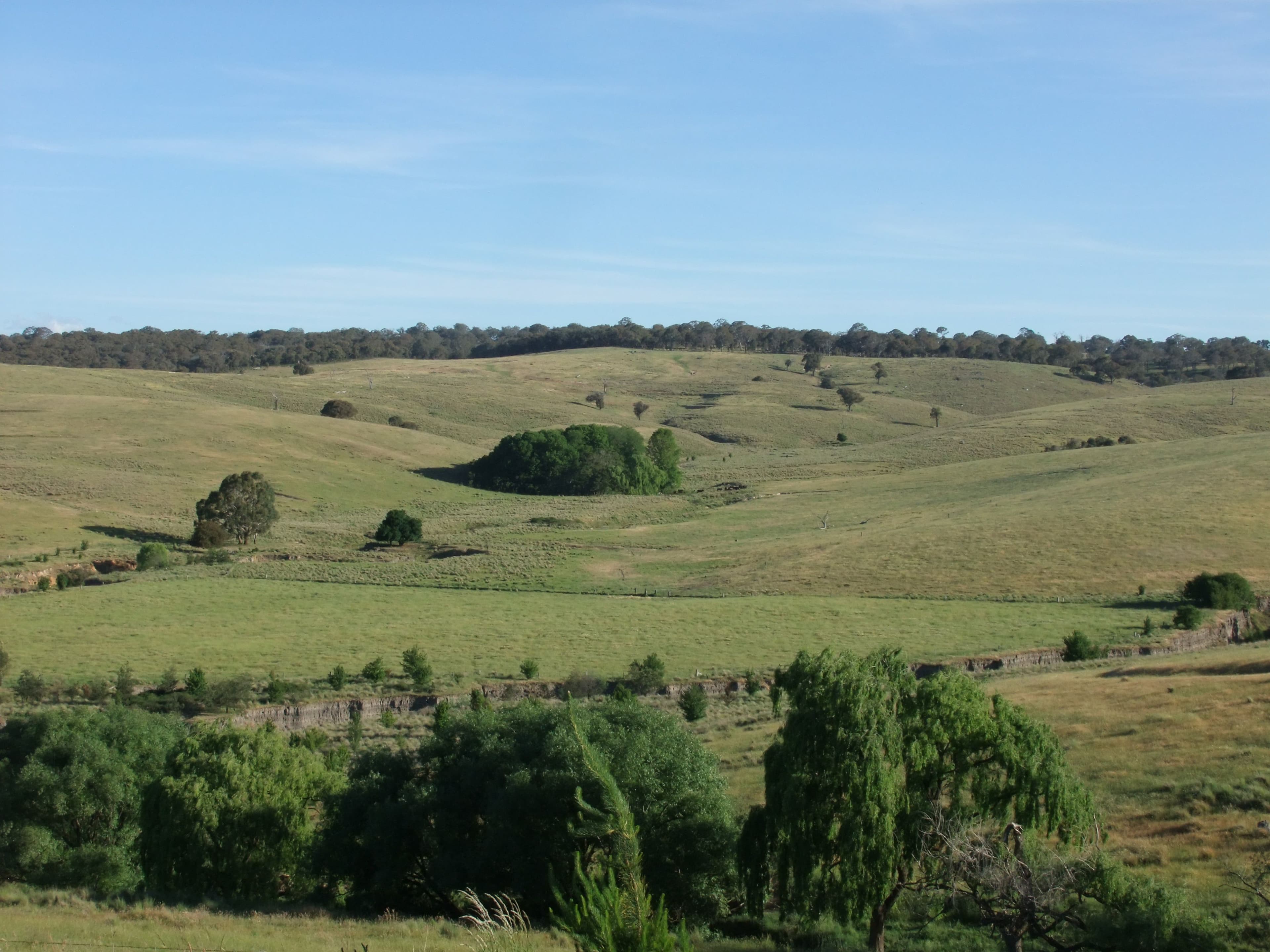 Bathurst NSW 2795, Bathurst - Image 1