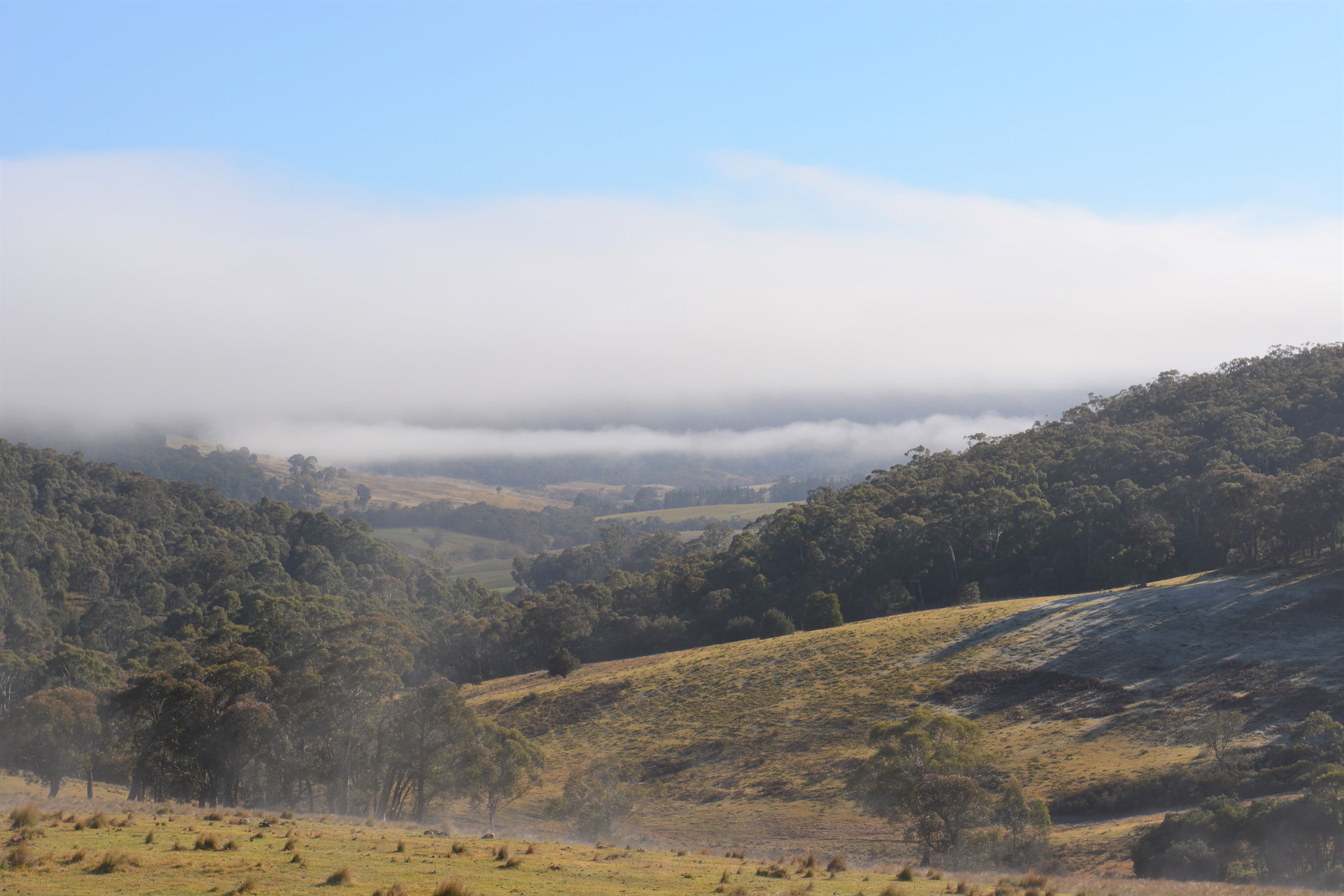 Lot 29 Wombeyan Caves Road, Taralga NSW 2580, Taralga - Thumbnail 4