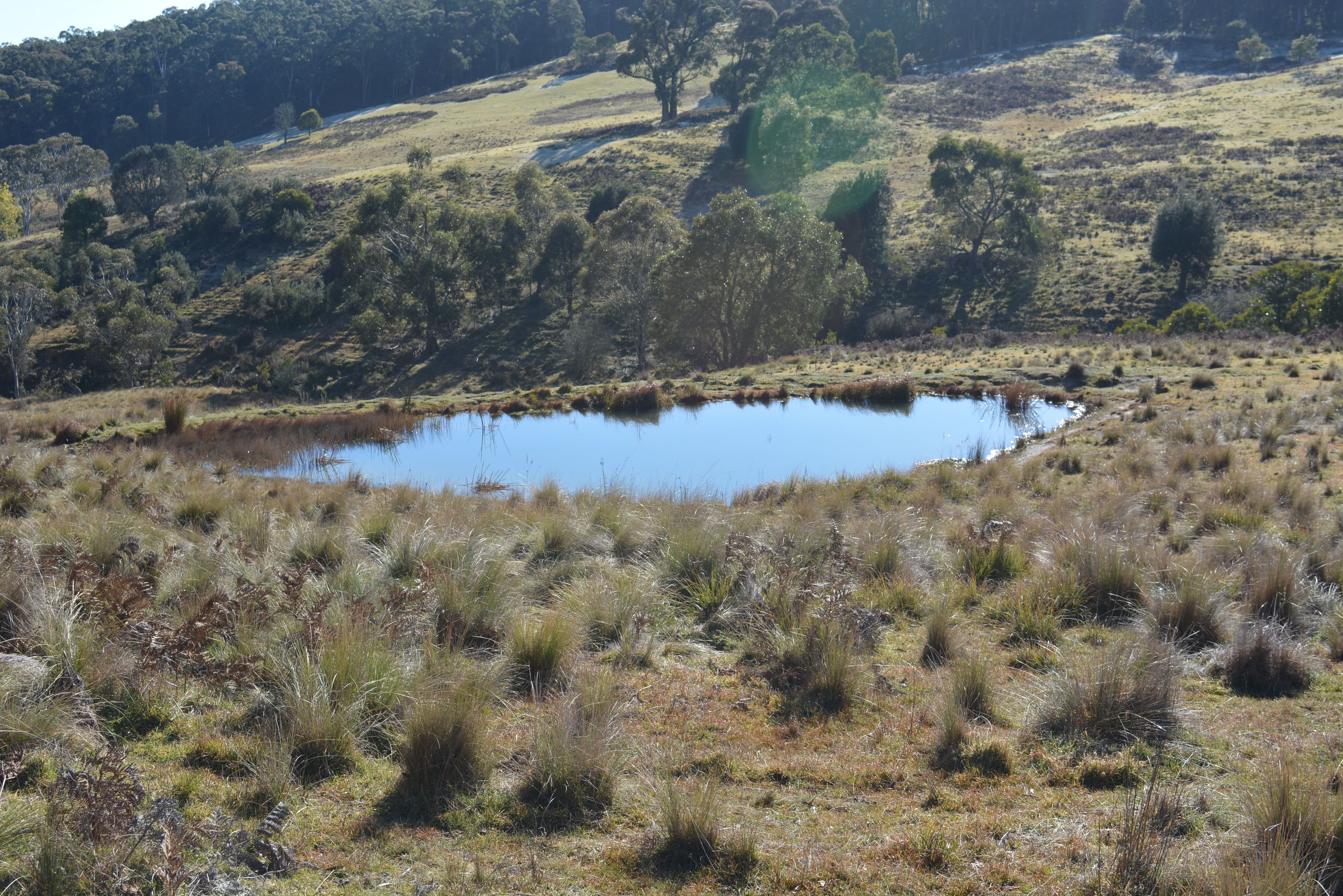 Lot 29 Wombeyan Caves Road, Taralga NSW 2580, Taralga - Thumbnail 2