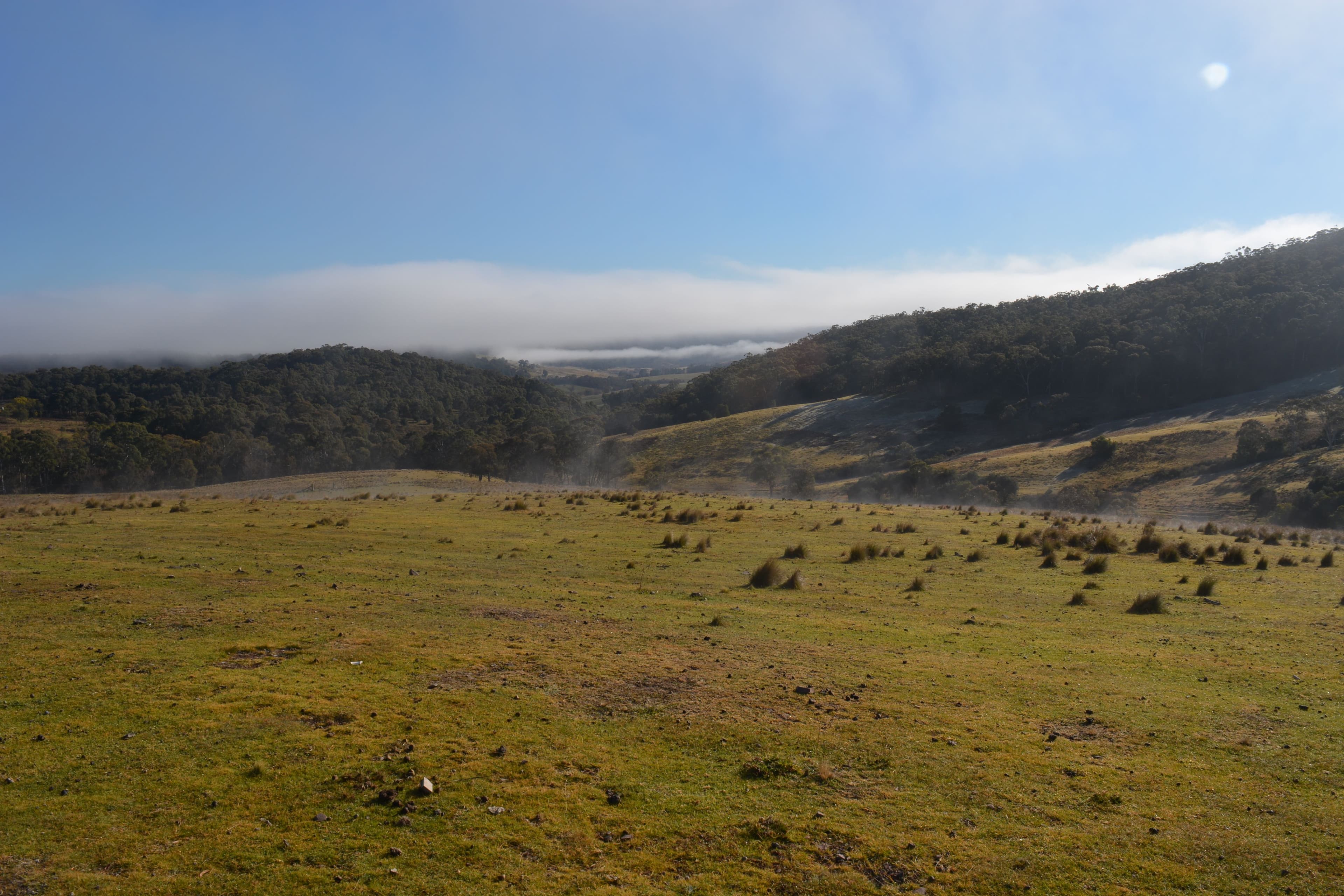 Lot 29 Wombeyan Caves Road, Taralga NSW 2580, Taralga - Image 1