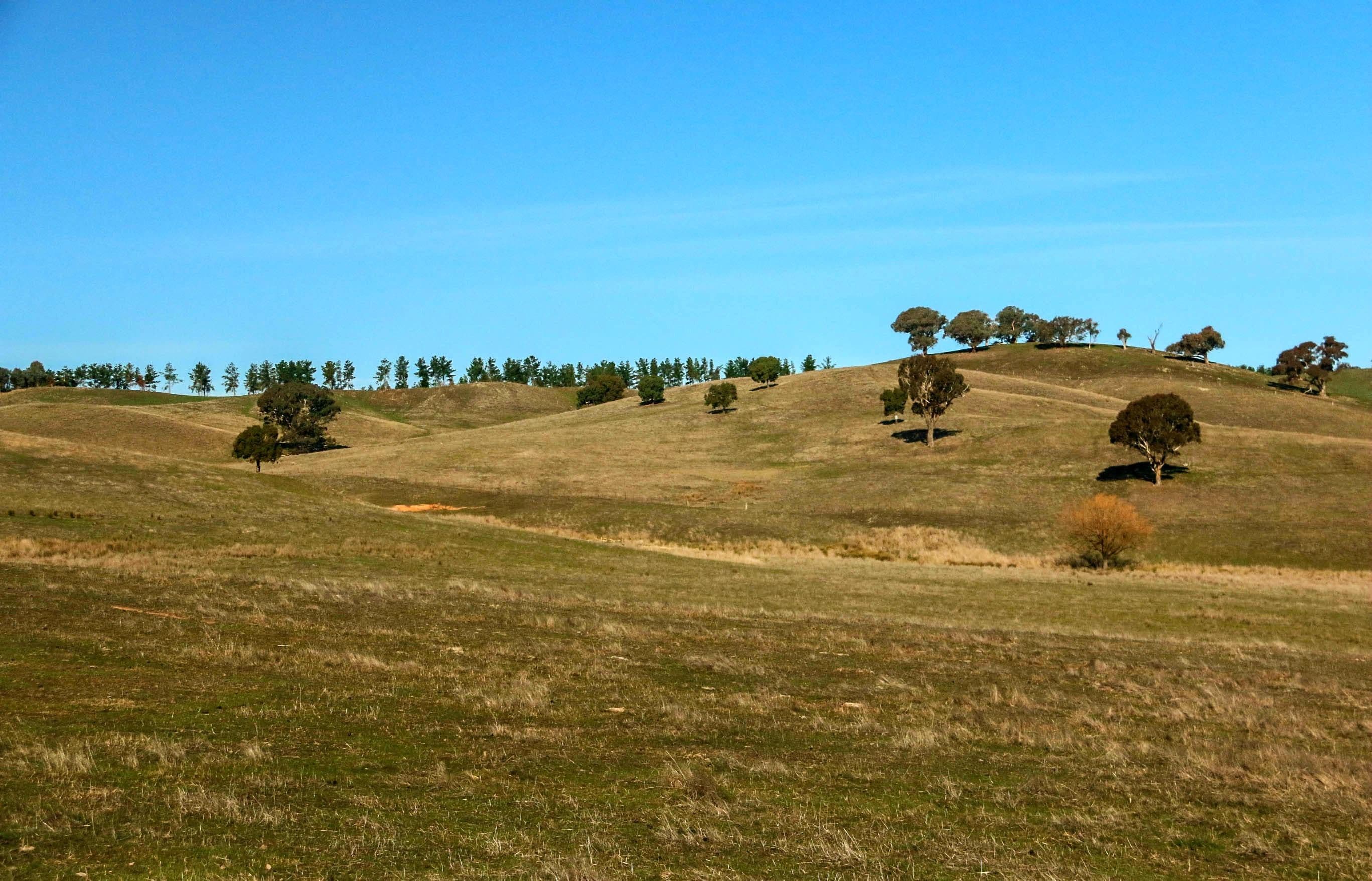 28 Bob's Creek Road, Carabost NSW 2650, Carabost - Thumbnail 8