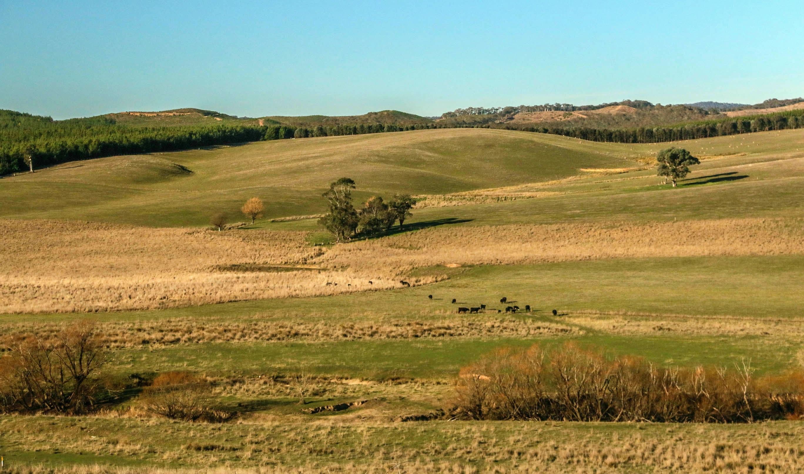 28 Bob's Creek Road, Carabost NSW 2650, Carabost - Thumbnail 6