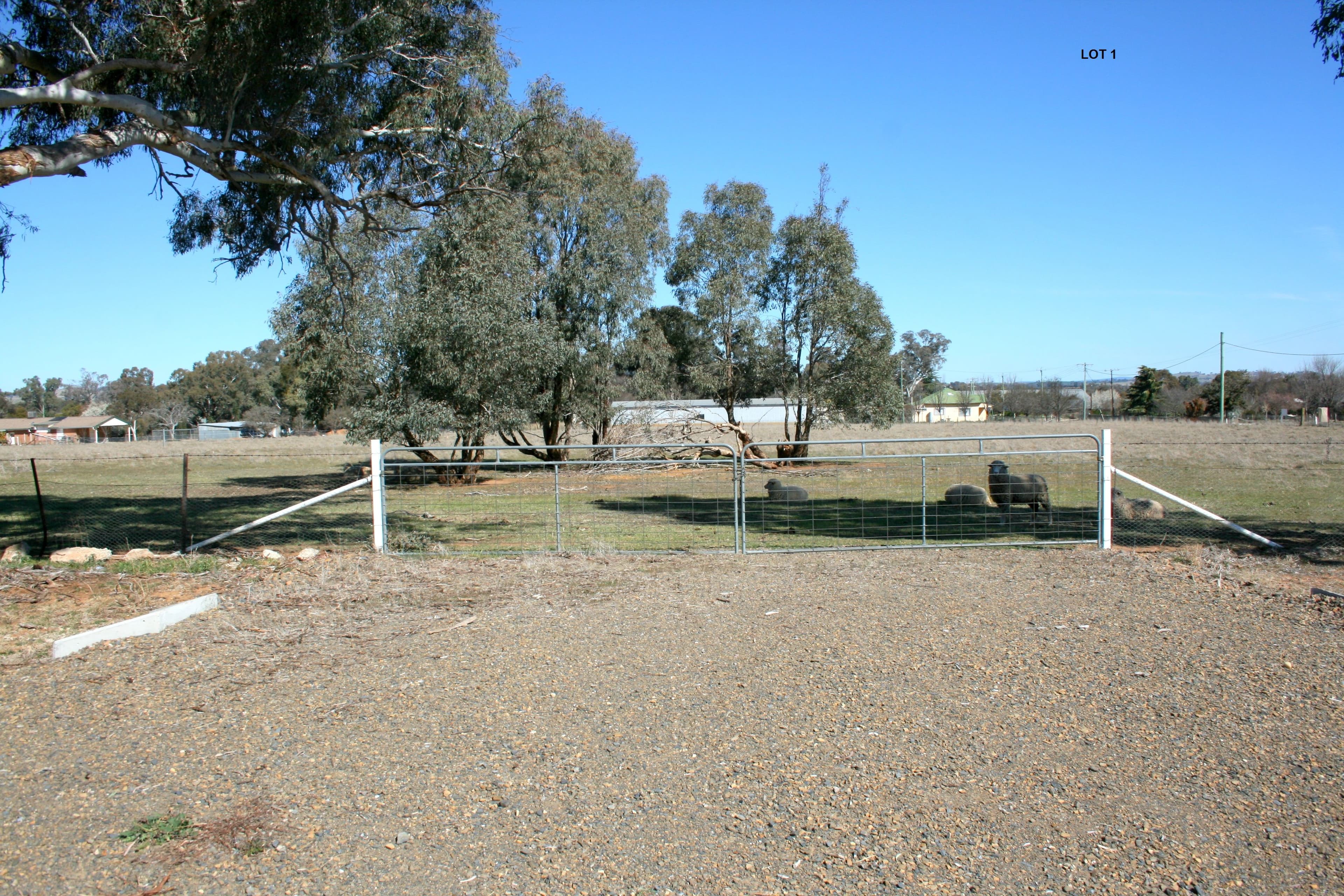 Lot 1 Tilga Street, Canowindra NSW 2804, Canowindra - Image 1