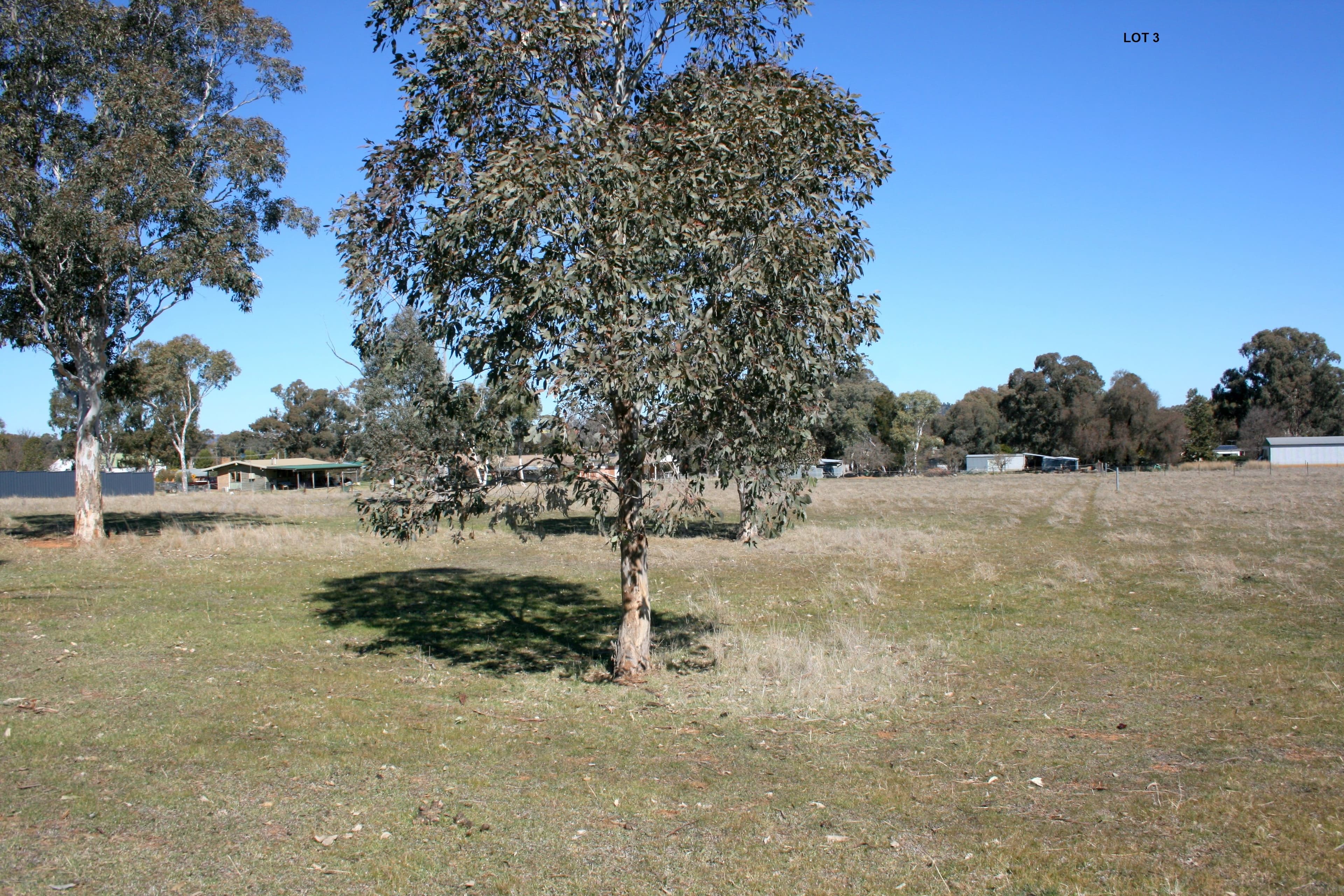 Lot 1 Tilga Street, Canowindra NSW 2804, Canowindra - Thumbnail 3