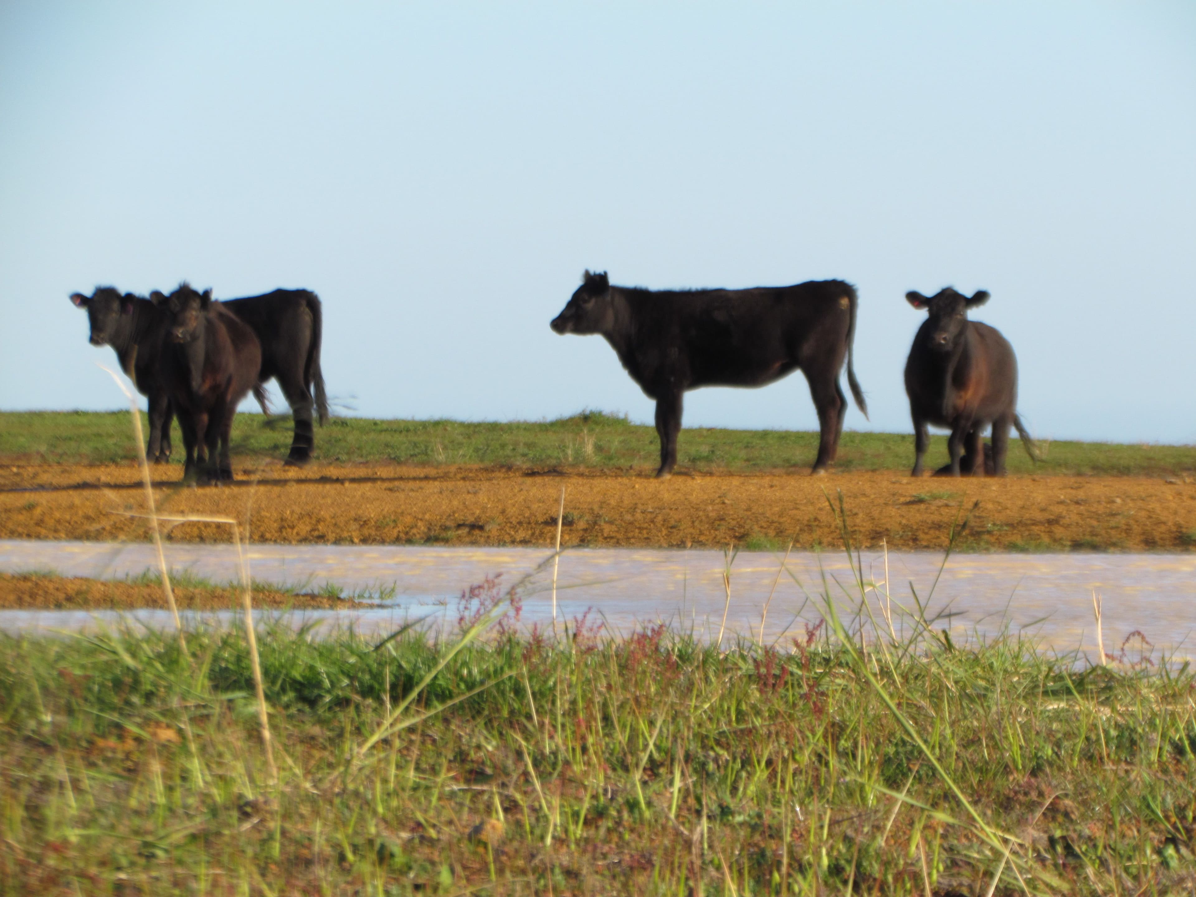 Jerdacuttup WA 6346, Jerdacuttup - Thumbnail 3