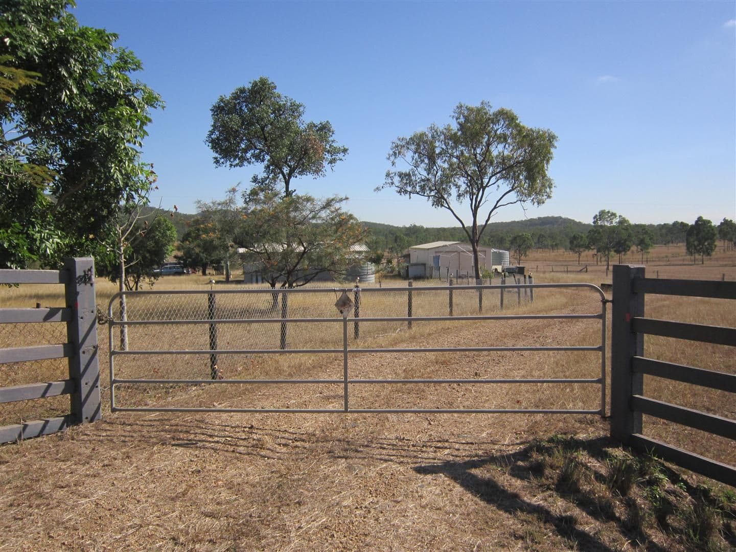 523 The Narrows Road, Mount Larcom QLD 4695, Mount Larcom - Image 1