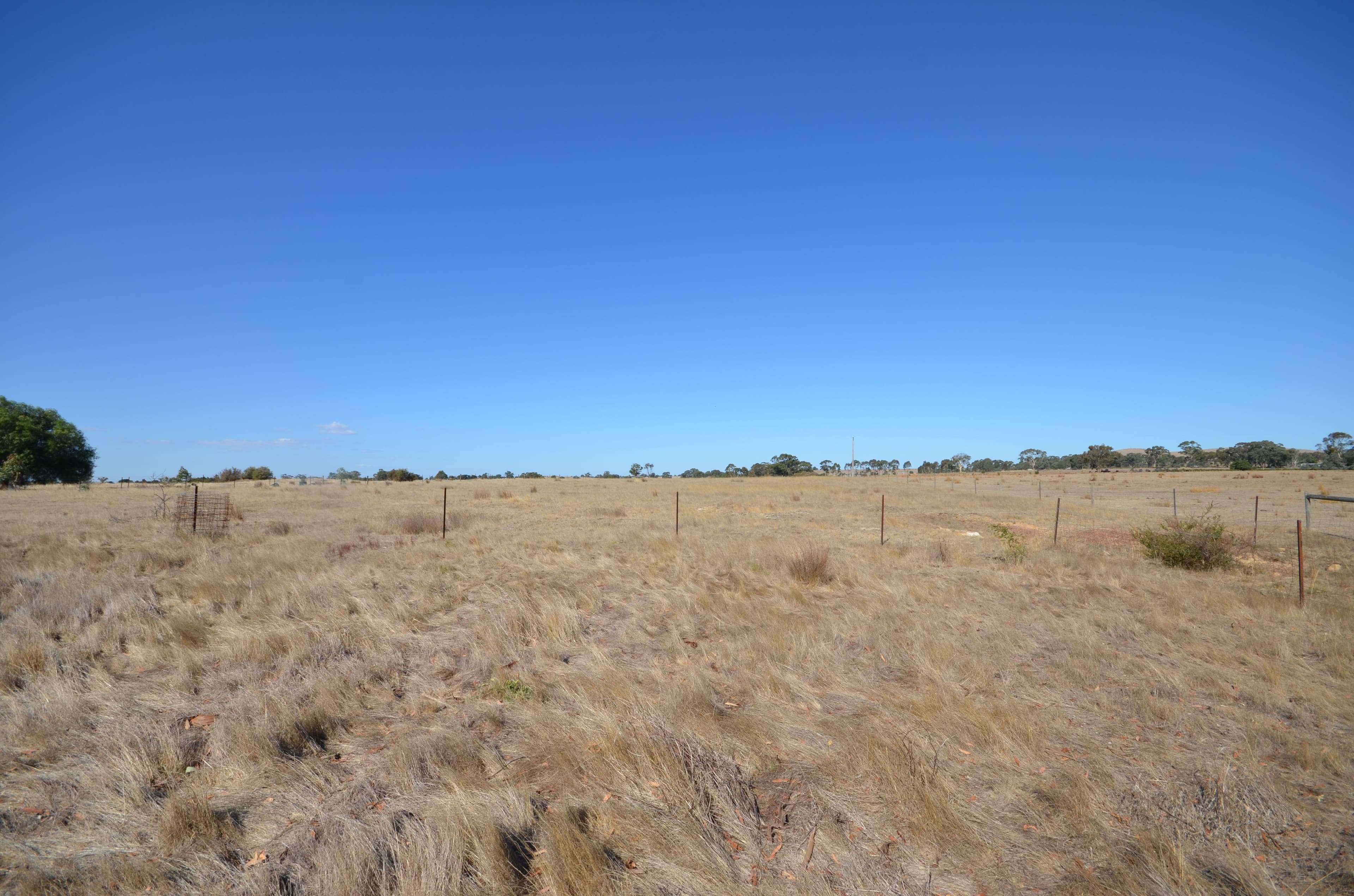 115 Halls Road, Talbot  Victoria  3371, Australia, Talbot - Thumbnail 5