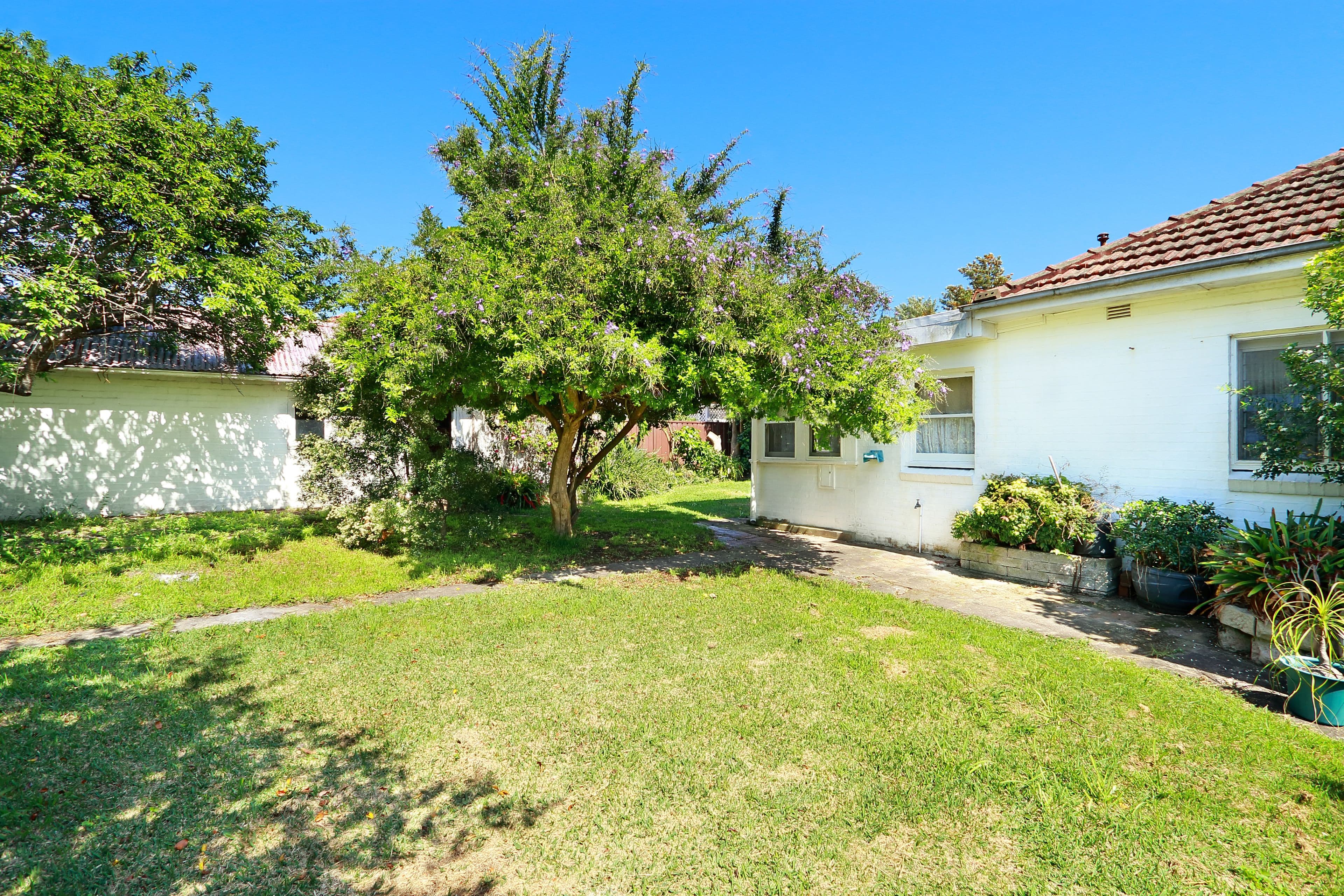 39 Albert Street, Bexley - Thumbnail 3
