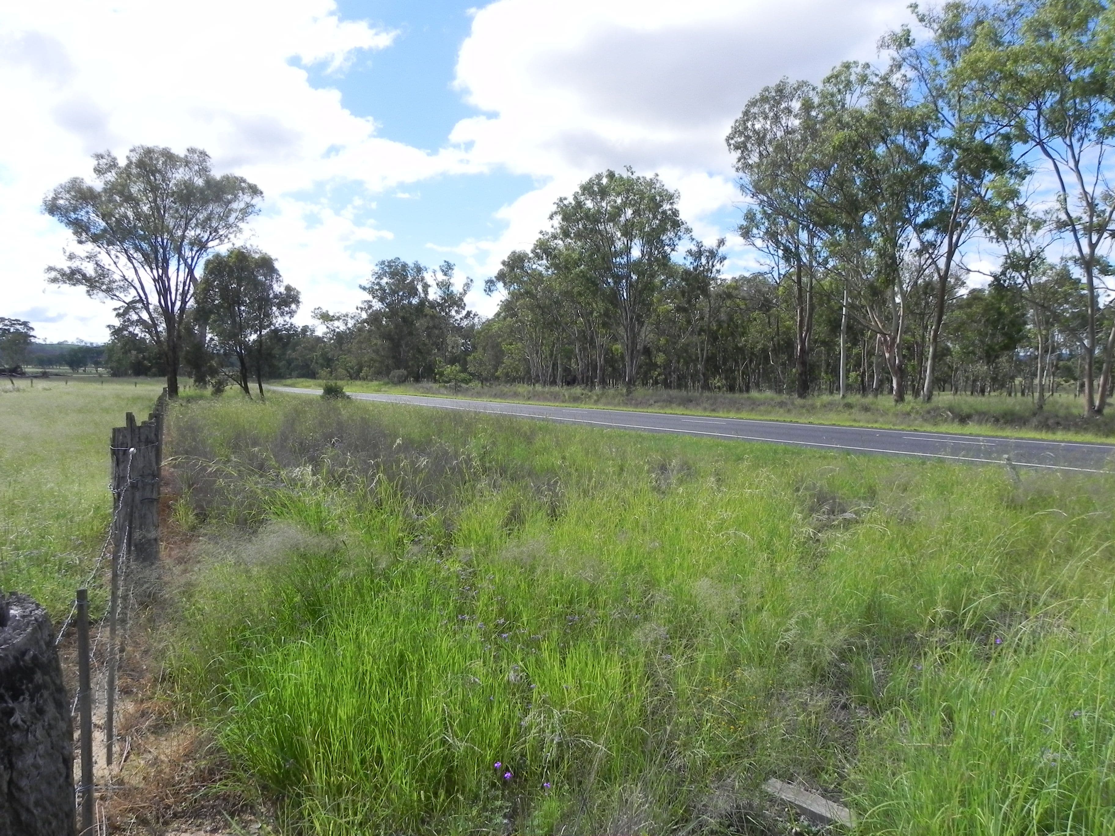 0 Cunningham Highway, Greymare QLD 4370, Greymare - Thumbnail 5