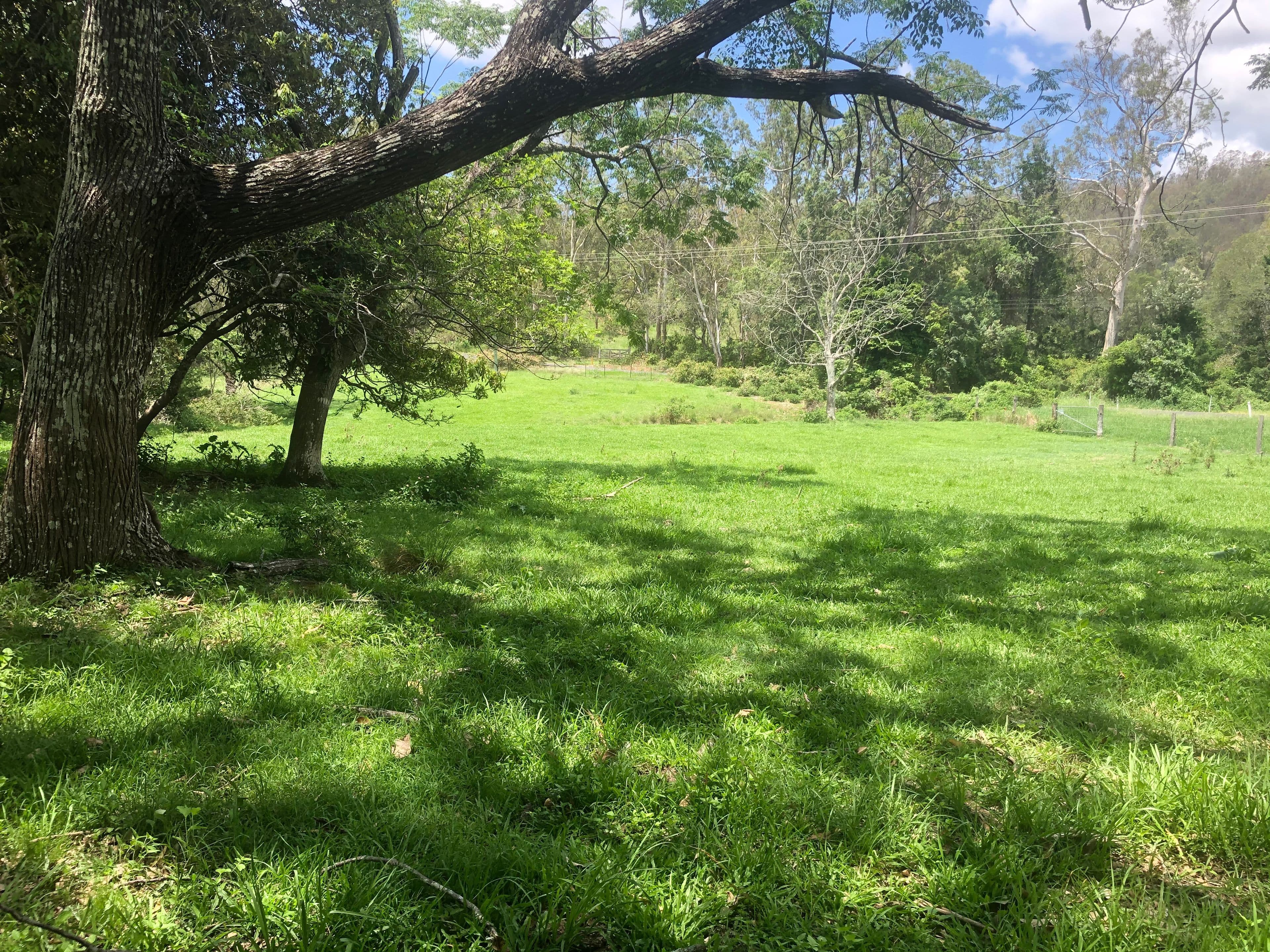 1202 Laceys Creek Road, Laceys Creek QLD 4521, Laceys Creek - Thumbnail 2
