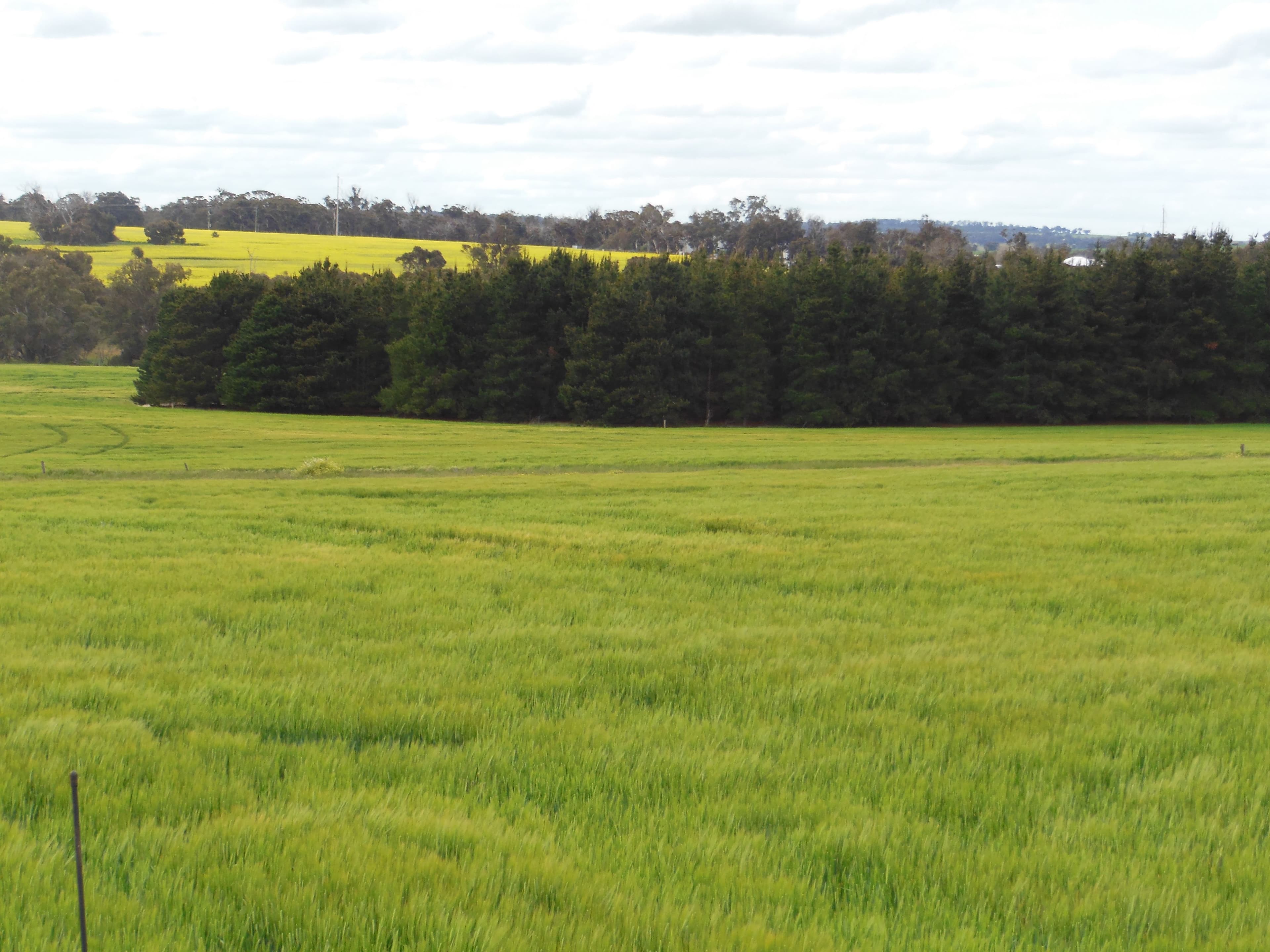 Uannup Road, CRANBROOK WA 6321, Cranbrook - Thumbnail 2