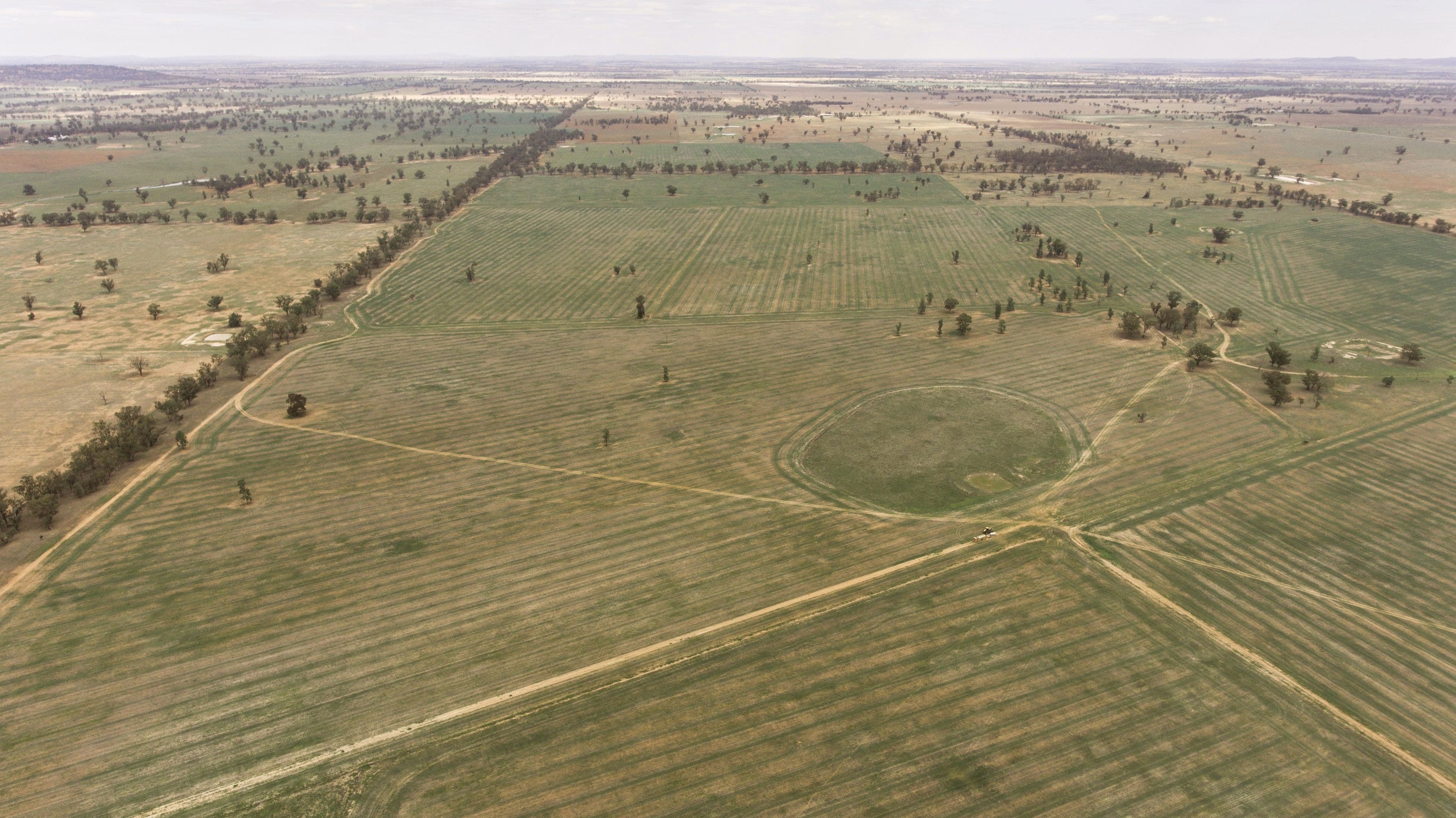 Young NSW 2594, Young - Image 1