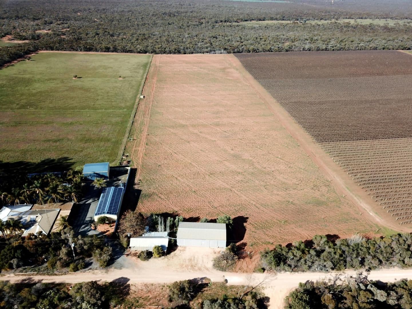 332 Costello Road, Loveday SA 5345, Loveday - Image 1