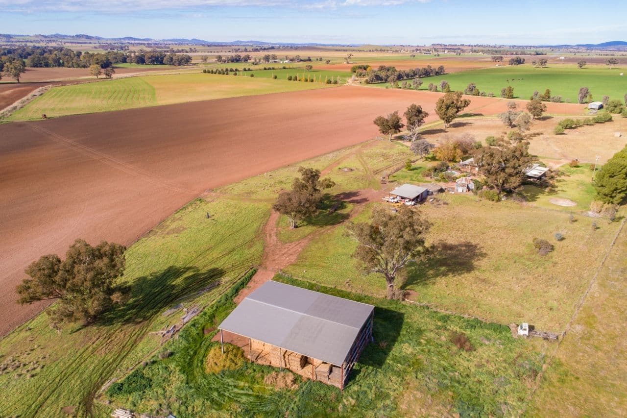 166 Settlement Bridge Road, Canowindra NSW 2804, Canowindra - Thumbnail 4