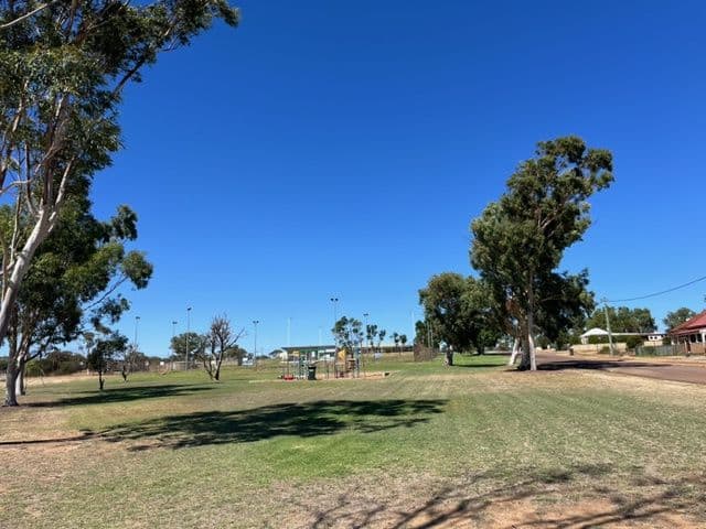 4 Wattle Street, Mingenew WA 6522, Mingenew - Thumbnail 4