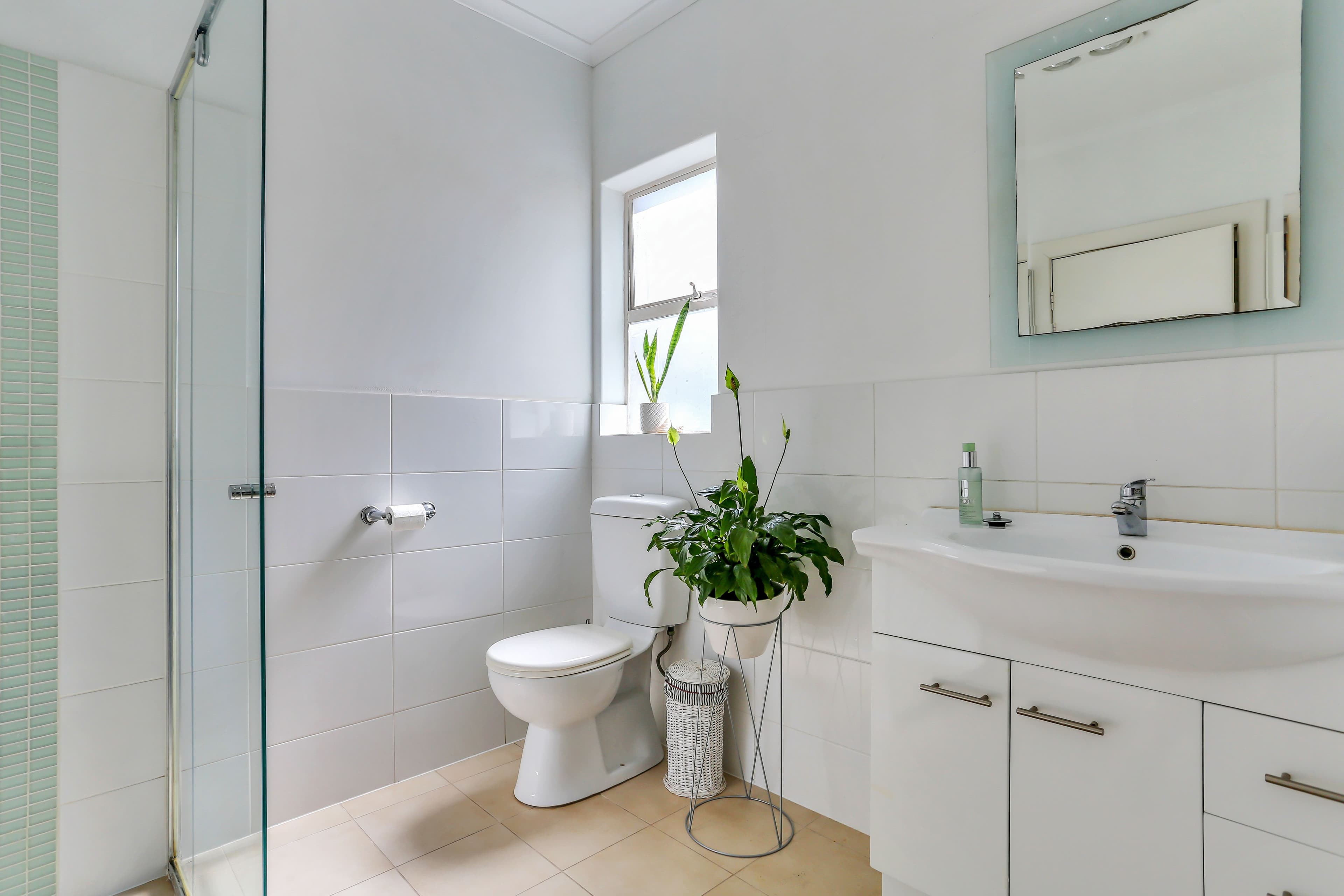 3 Bosville Grove, Campbelltown SA 5074, Campbelltown - Thumbnail 8
