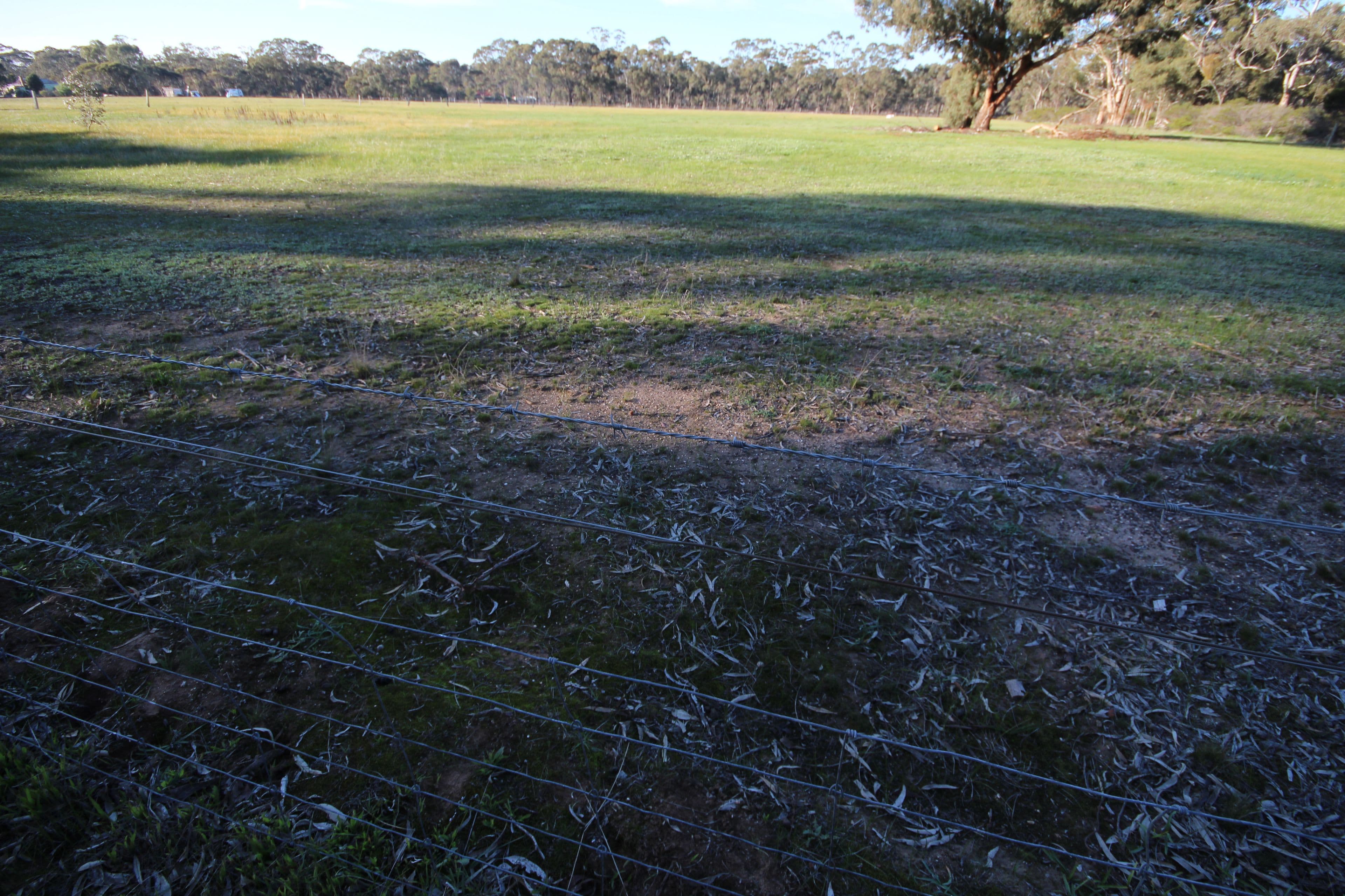 203-204 Western Highway, Deep Lead VIC 3381, Deep Lead - Thumbnail 5