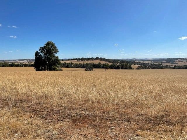 7 Albany Highway, CROSSMAN WA 6390, Crossman - Thumbnail 7