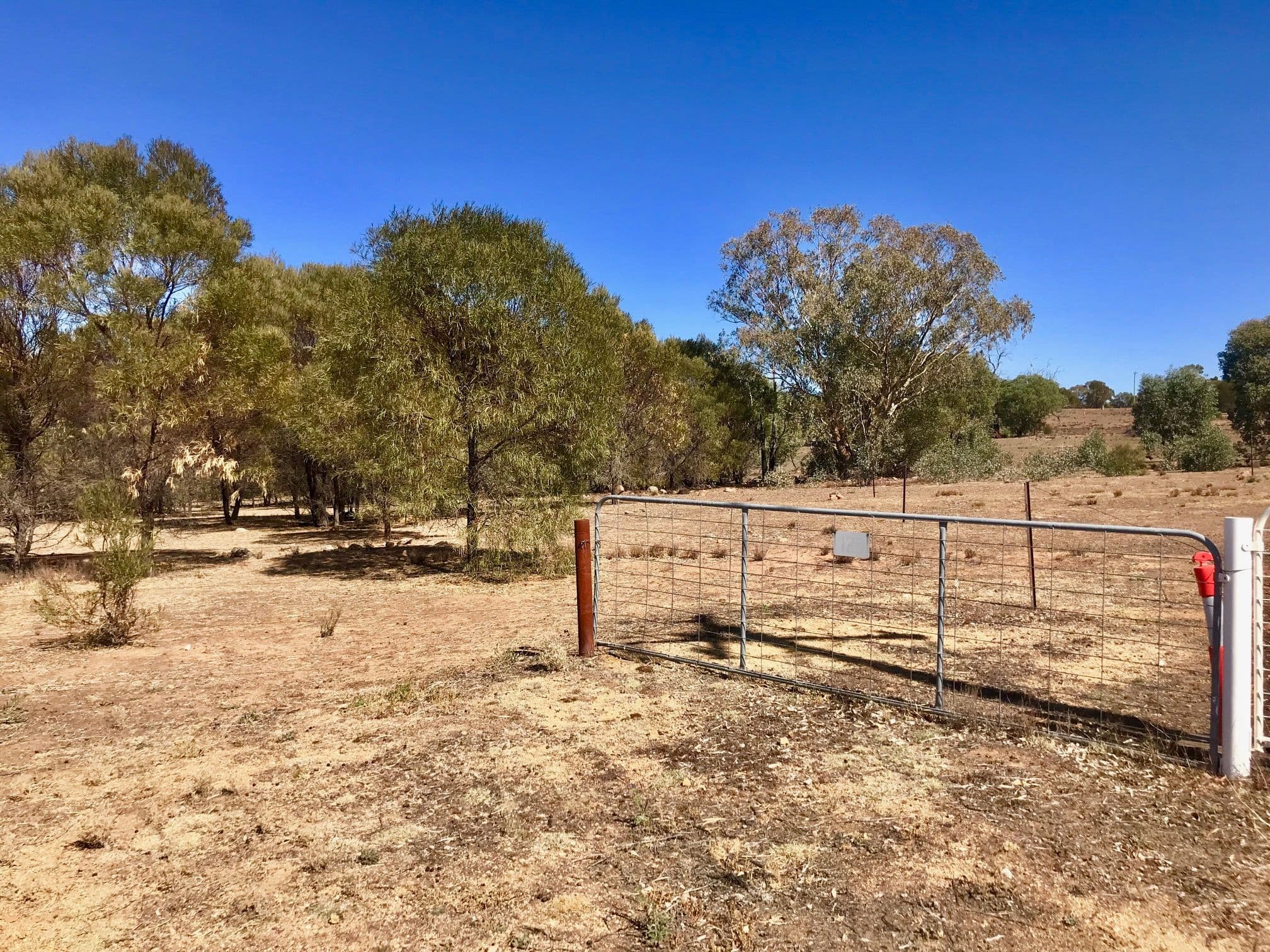 Lot 10 Simpson Drive, Grenfell NSW 2810, Grenfell - Thumbnail 6