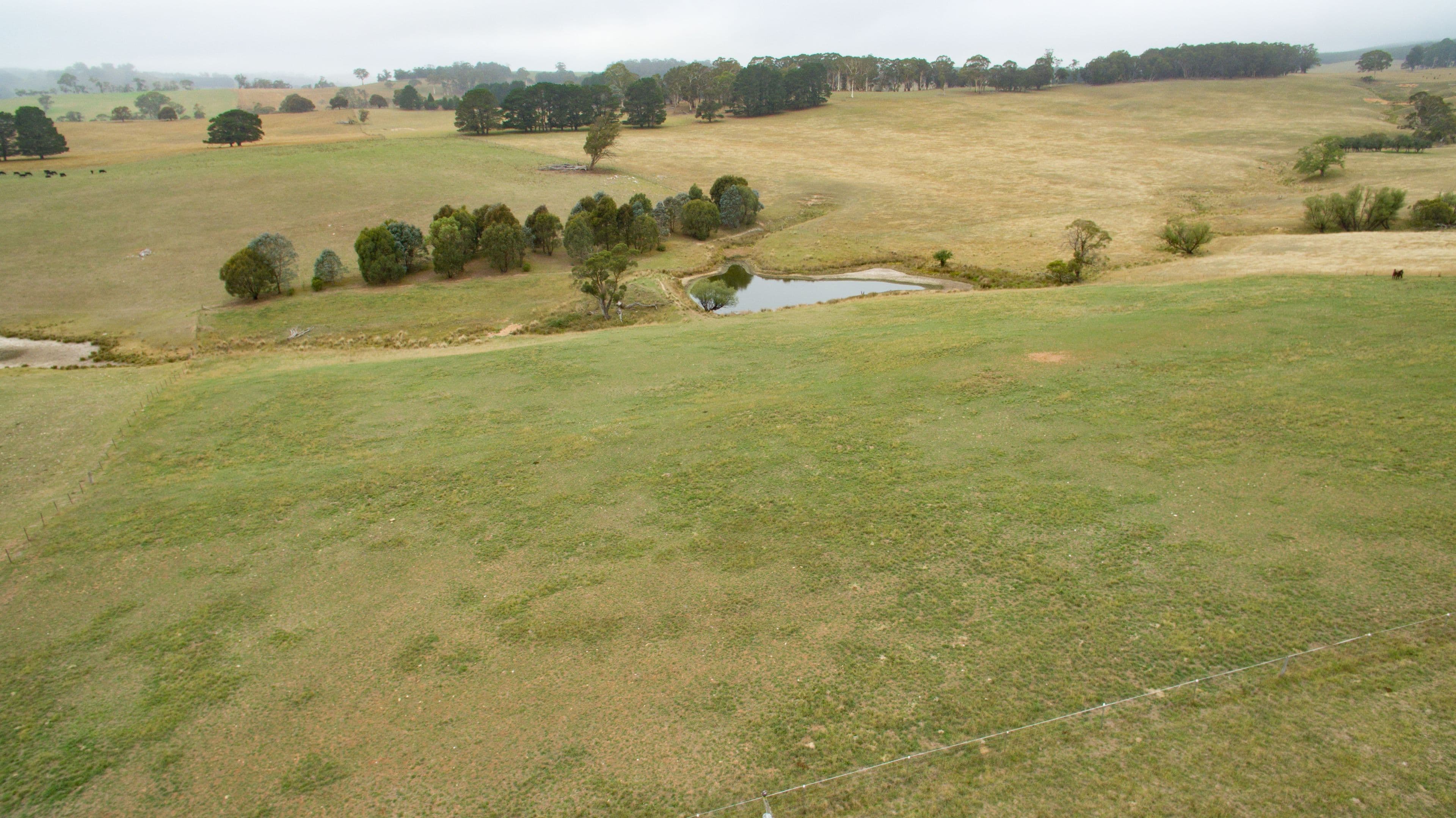 69 Butter Factory Lane, Oberon NSW 2787, Oberon - Thumbnail 4