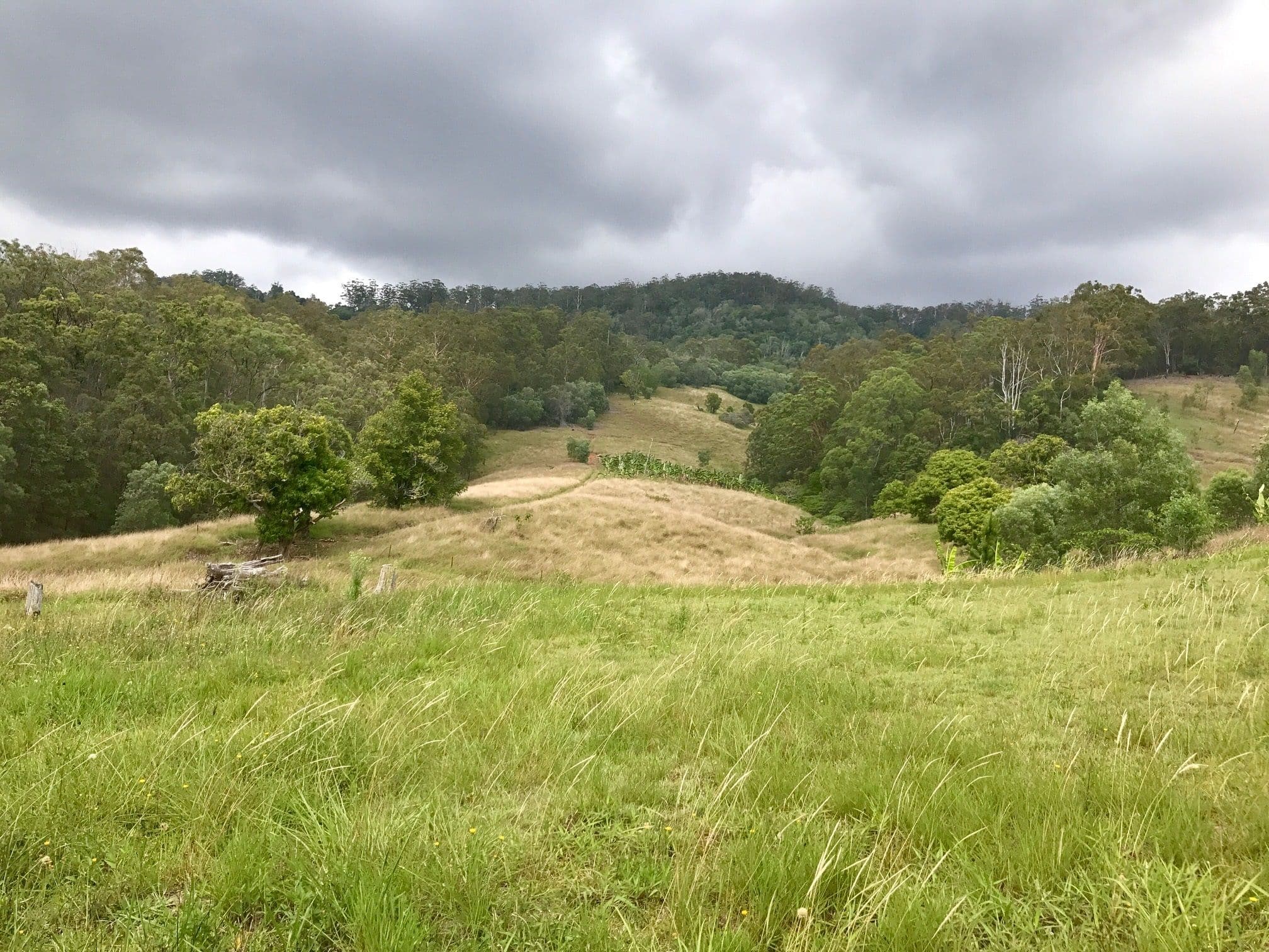 126 Blacks Road, Kingsholme QLD 4208, Kingsholme - Thumbnail 7