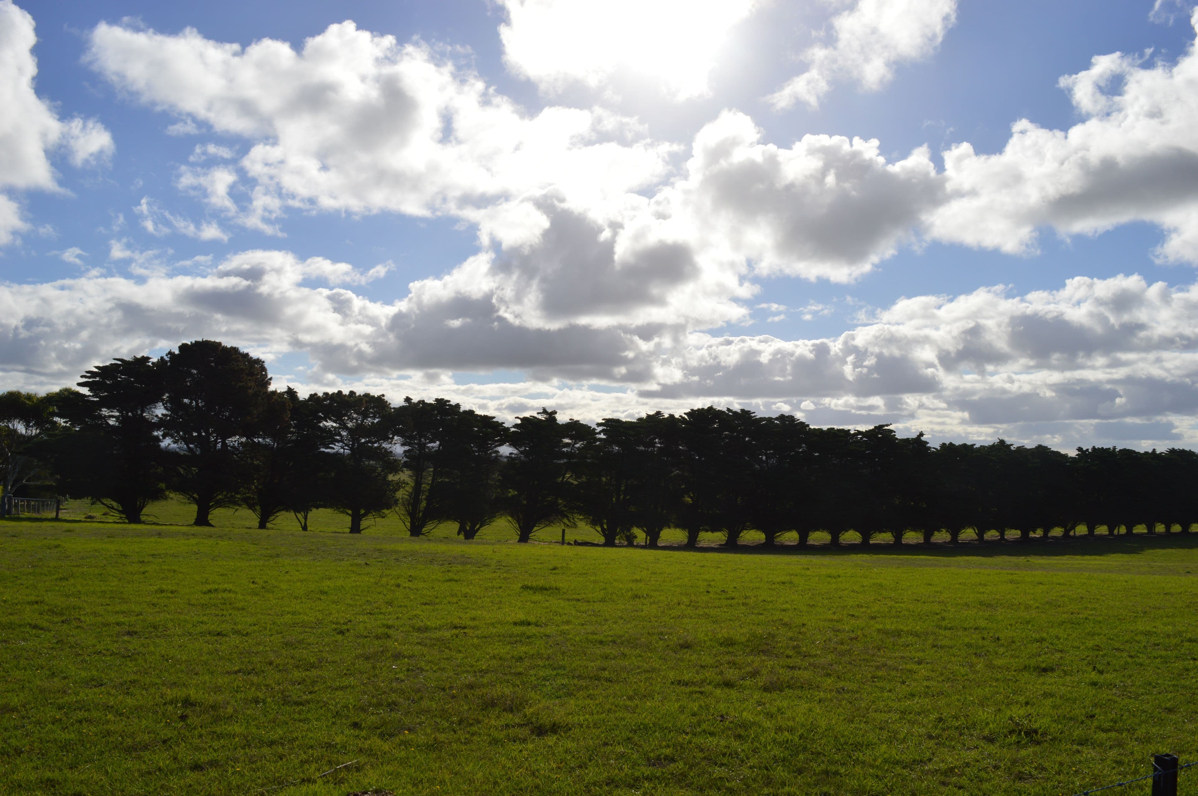 Lot 1-99 Byrnes Road, Woodside Beach VIC 3874, Woodside Beach - Thumbnail 6