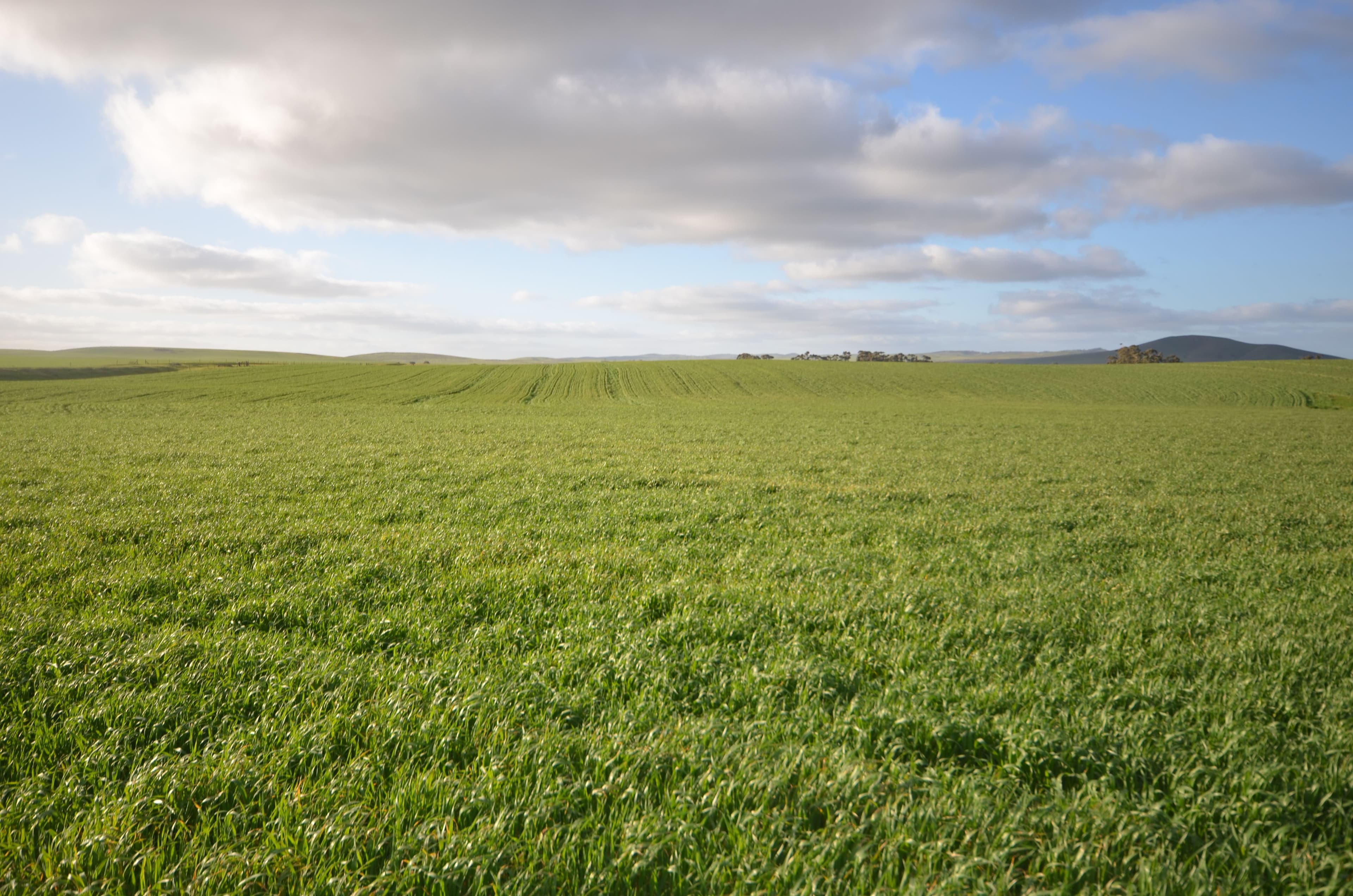 "Hill View" Barrier Highway, Hallett SA 5419, Hallett - Thumbnail 4