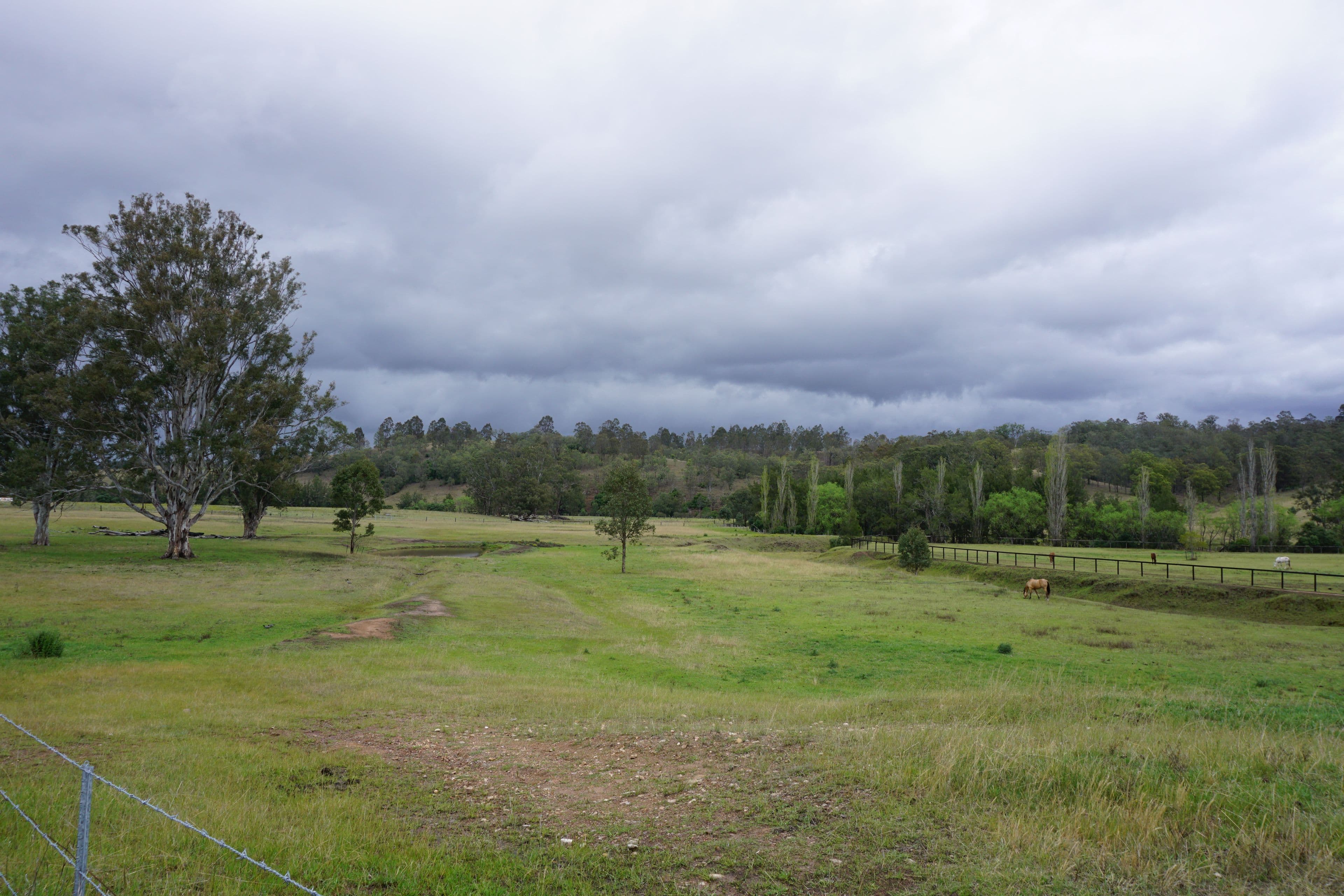 1475 Mirannie Road, Singleton NSW 2330, Singleton - Thumbnail 7