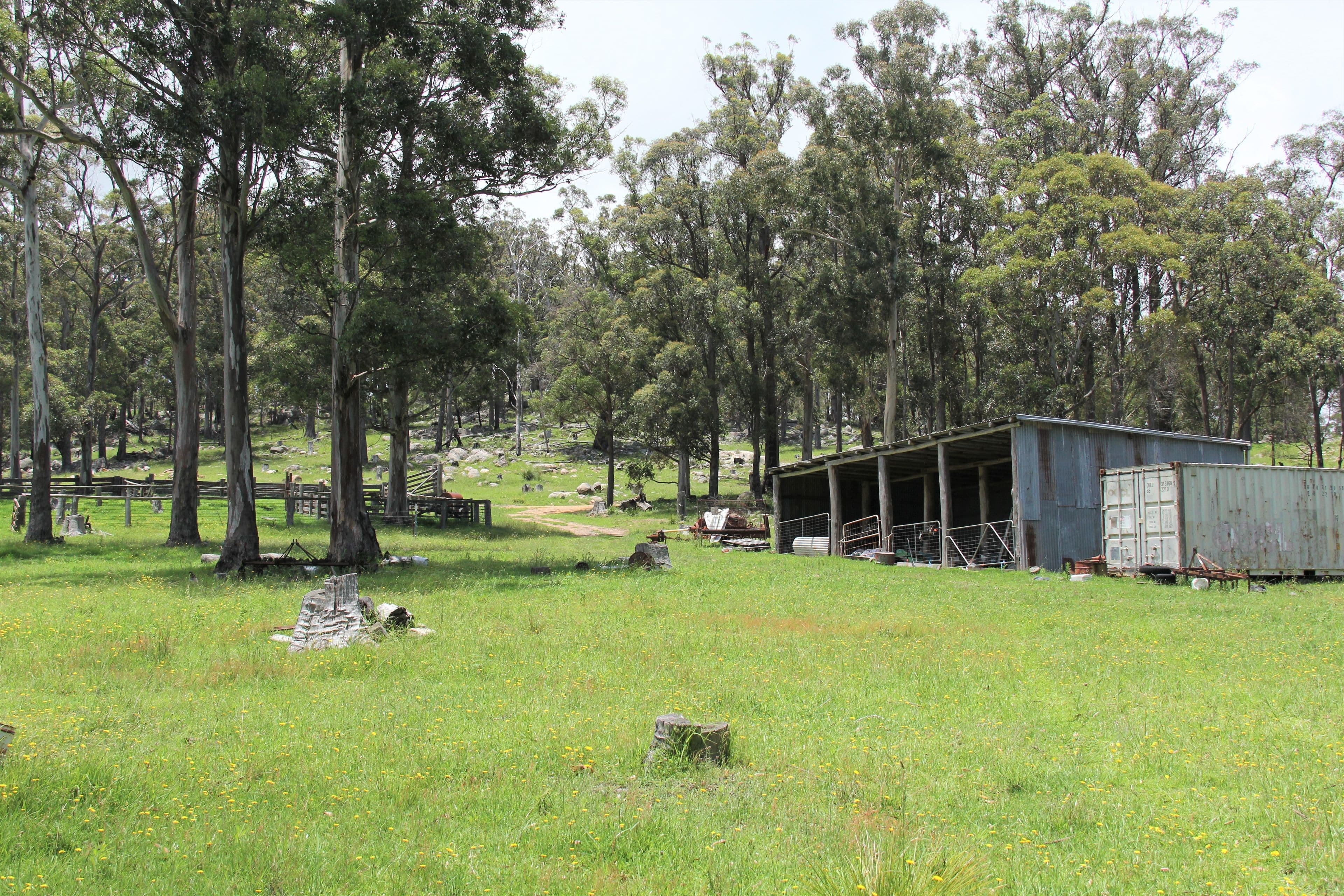 170 Bungulla Road, Tenterfield NSW 2372, Tenterfield - Thumbnail 3