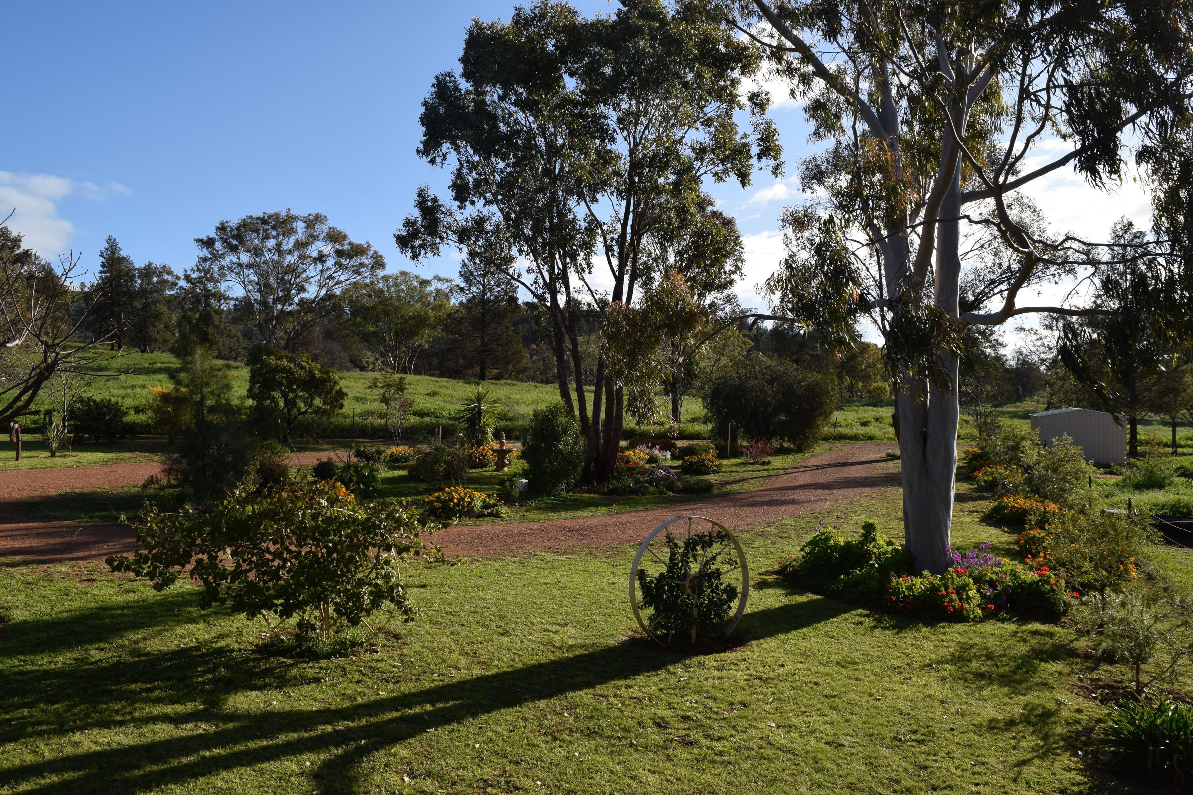 878 Mount Tallabung Road, Wirrinya NSW 2871, Wirrinya - Thumbnail 5