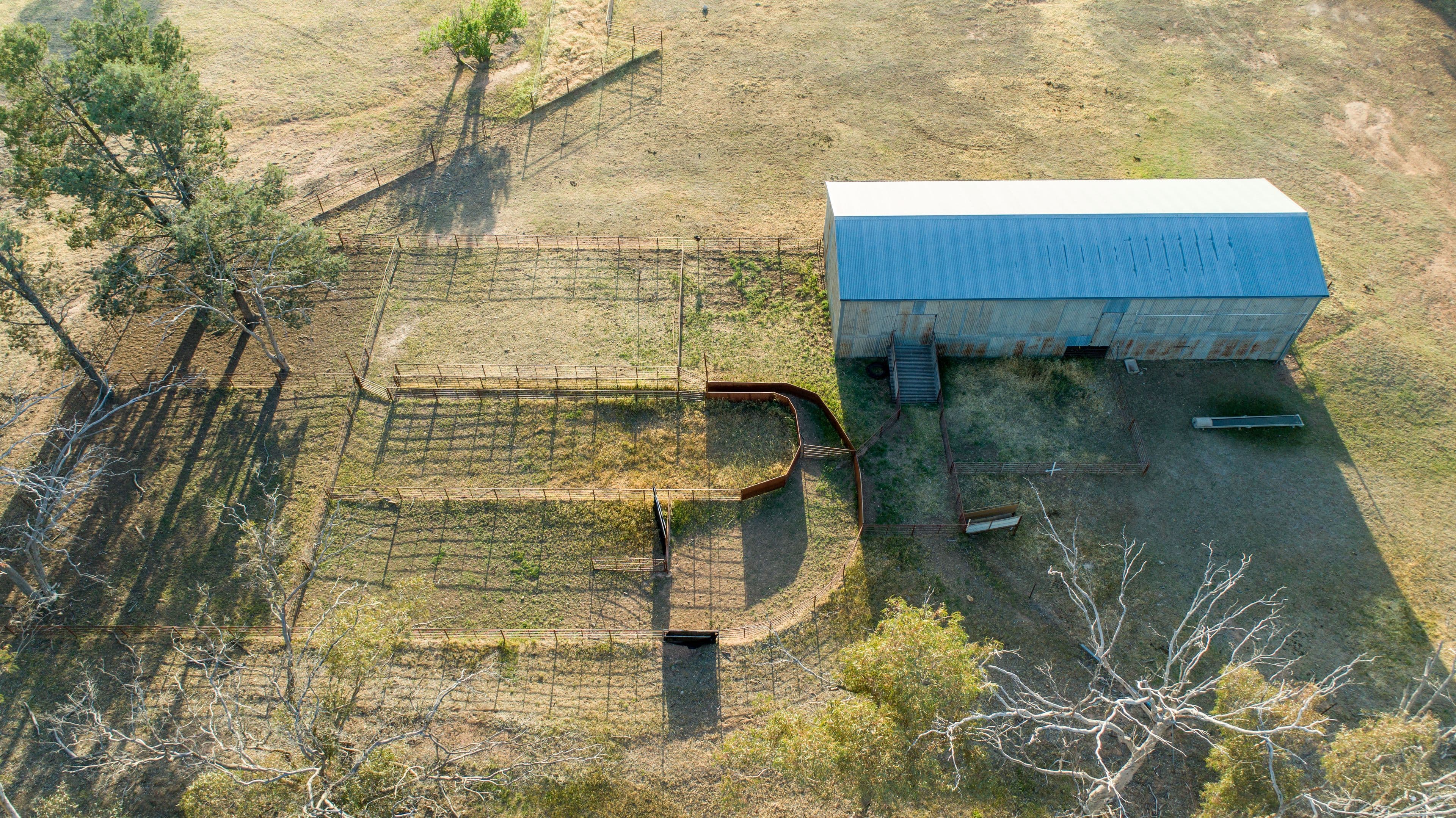 90 Thanowring School Road, Temora NSW 2666, Temora - Thumbnail 7