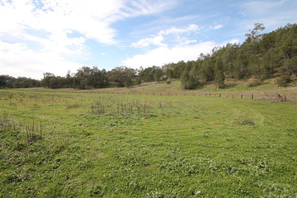 Lot 12 Grandview Place, Quirindi NSW 2343, Quirindi - Thumbnail 5