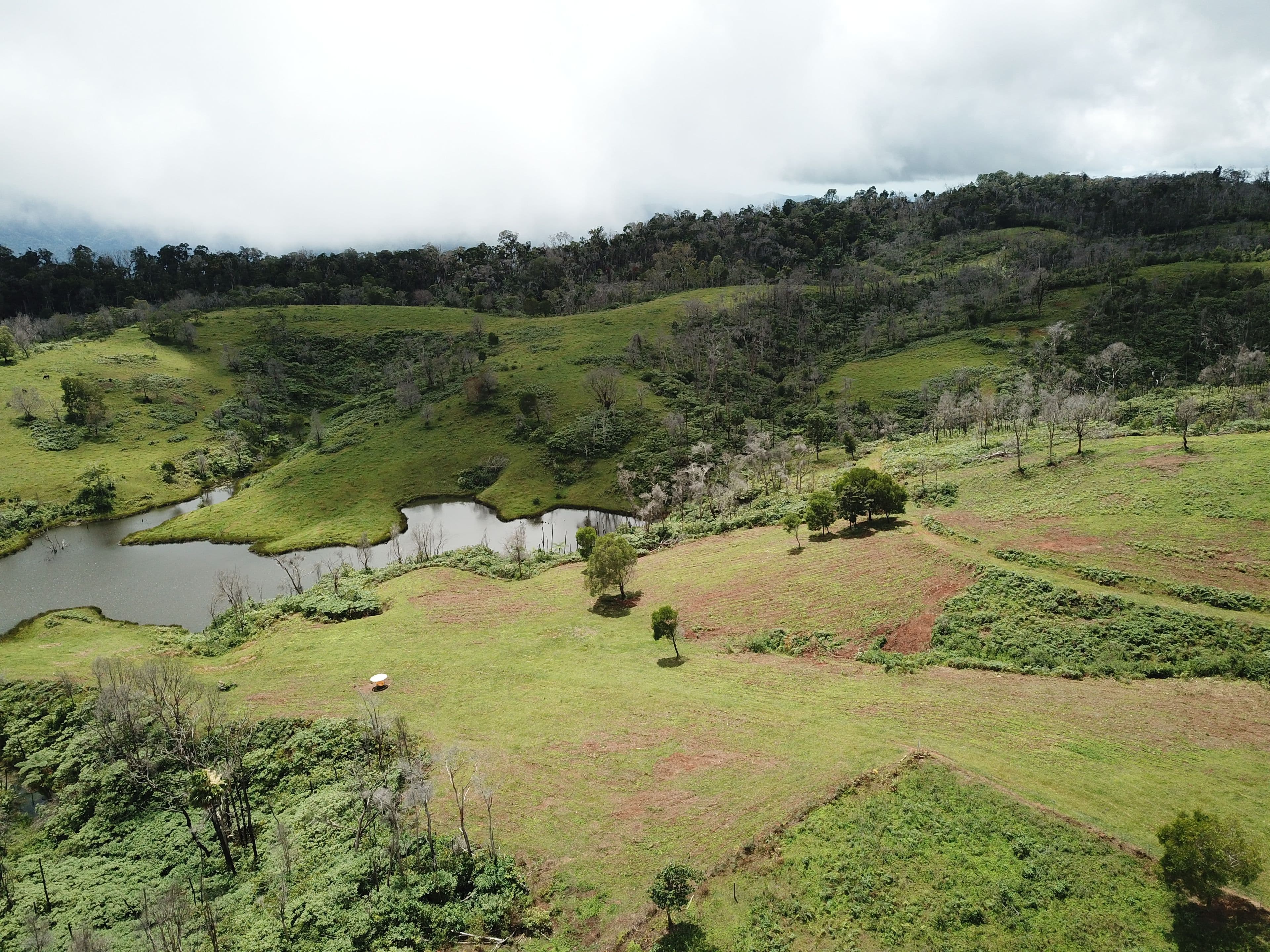 189 Cathay Creek Road, Crediton QLD 4757, Crediton - Thumbnail 2