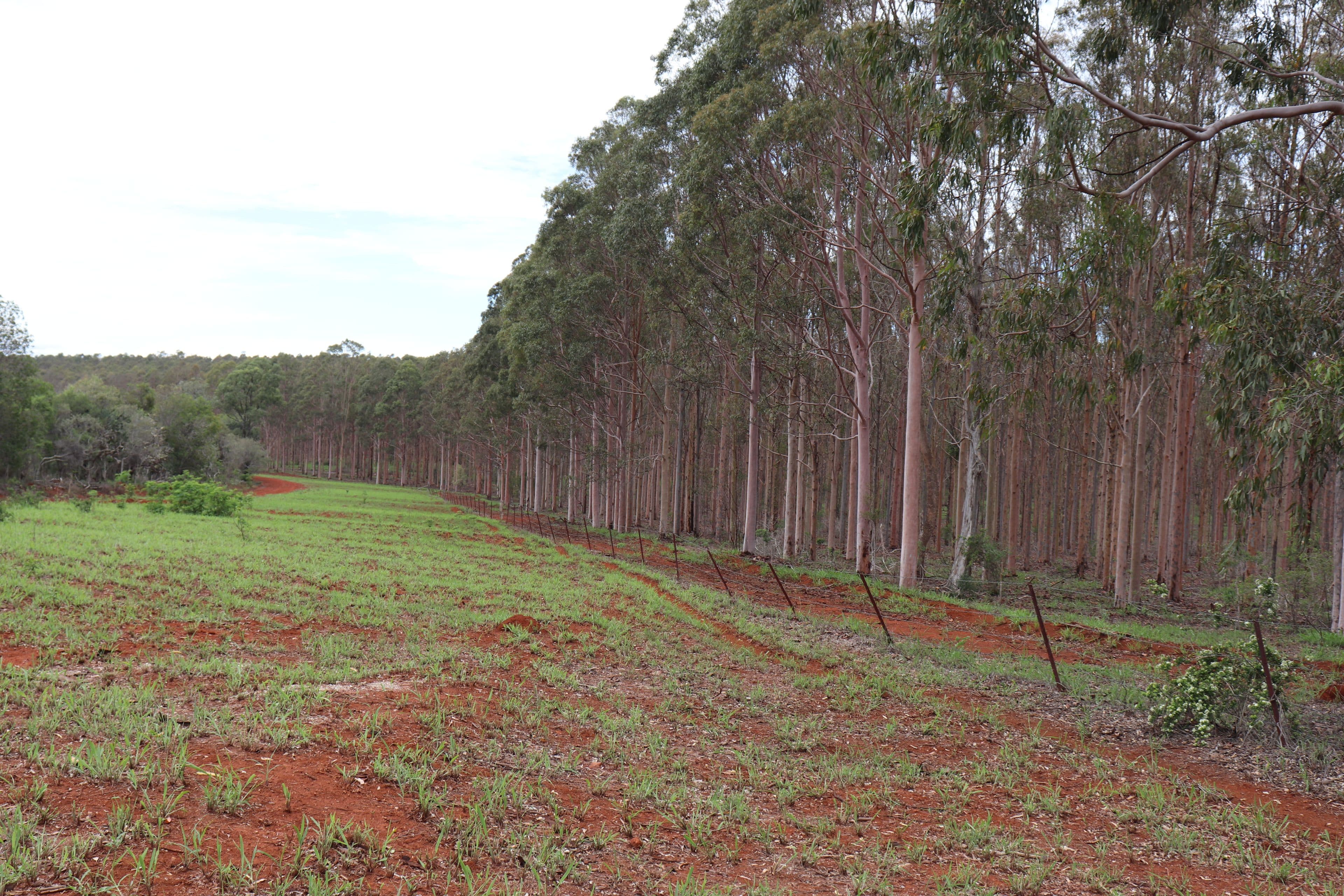 'Hooper' Burnett Highway, Binjour QLD 4625, Binjour - Thumbnail 6