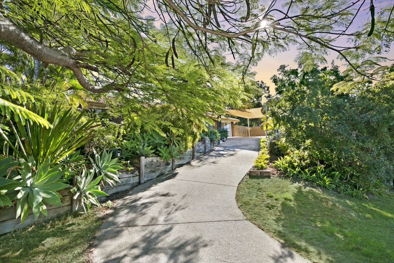 8 Haylett Court, Tallai QLD 4213, Tallai - Thumbnail 3