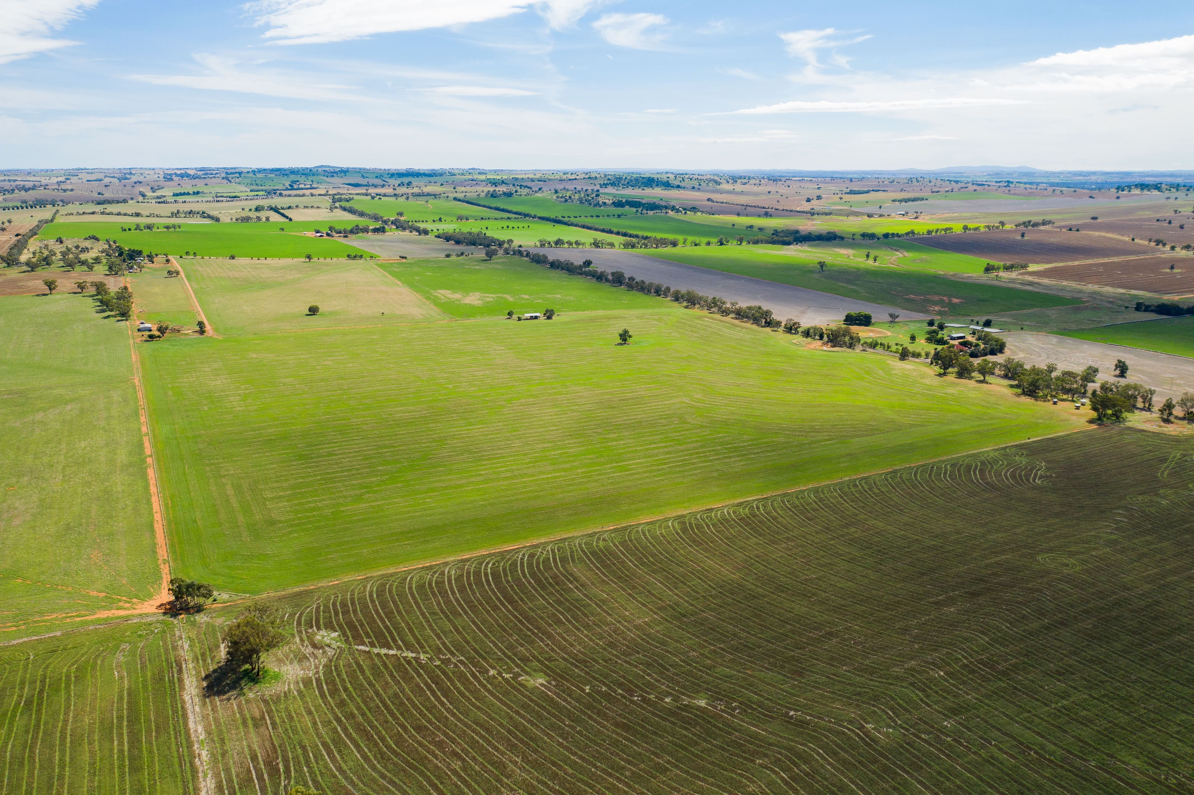 Wagga Wagga NSW 2650, Wagga Wagga - Thumbnail 2