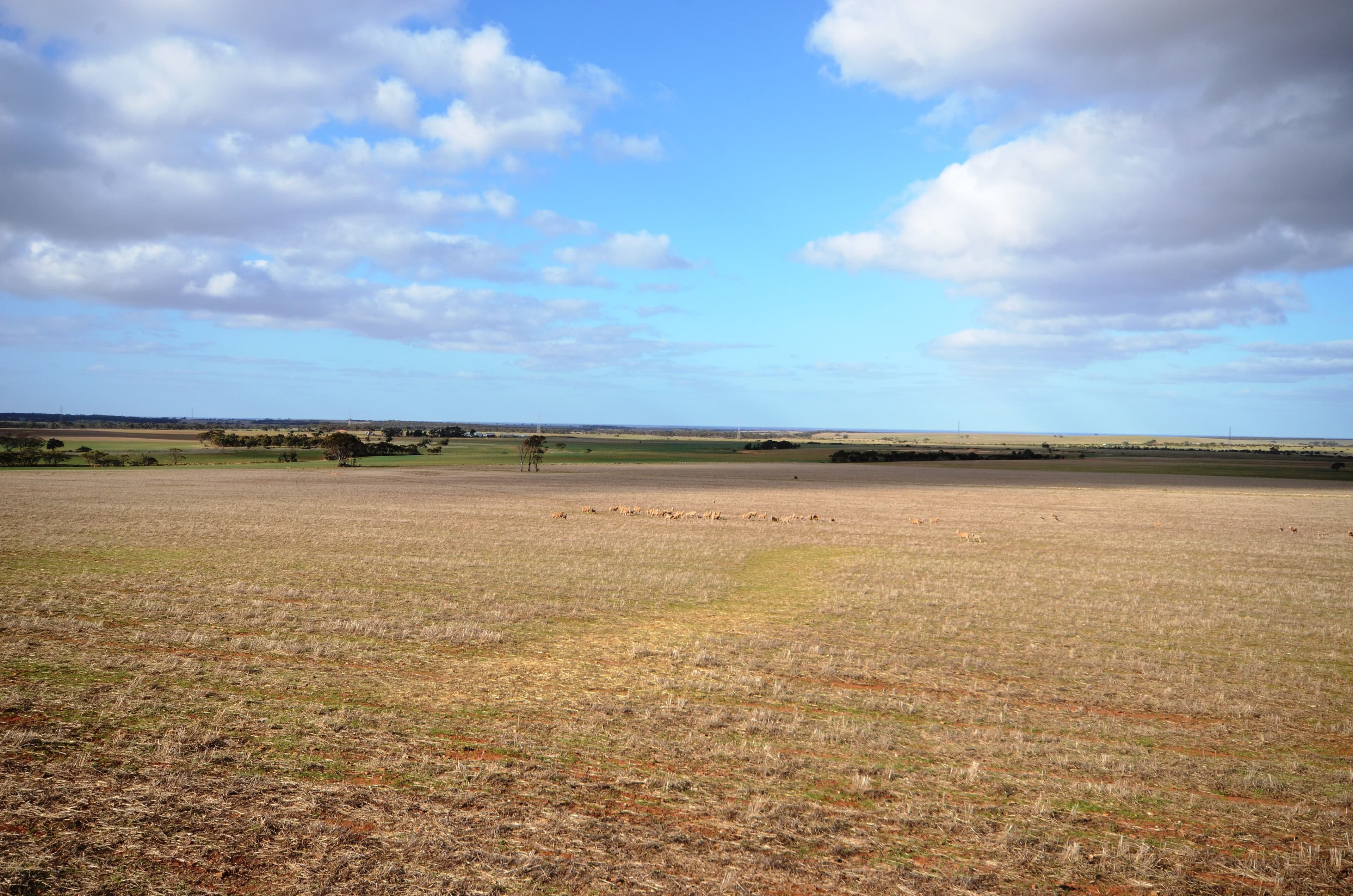 "Roockes" and "Schulzs" - Von Reiben Road, Neales Flat SA 5374, Neales Flat - Thumbnail 8
