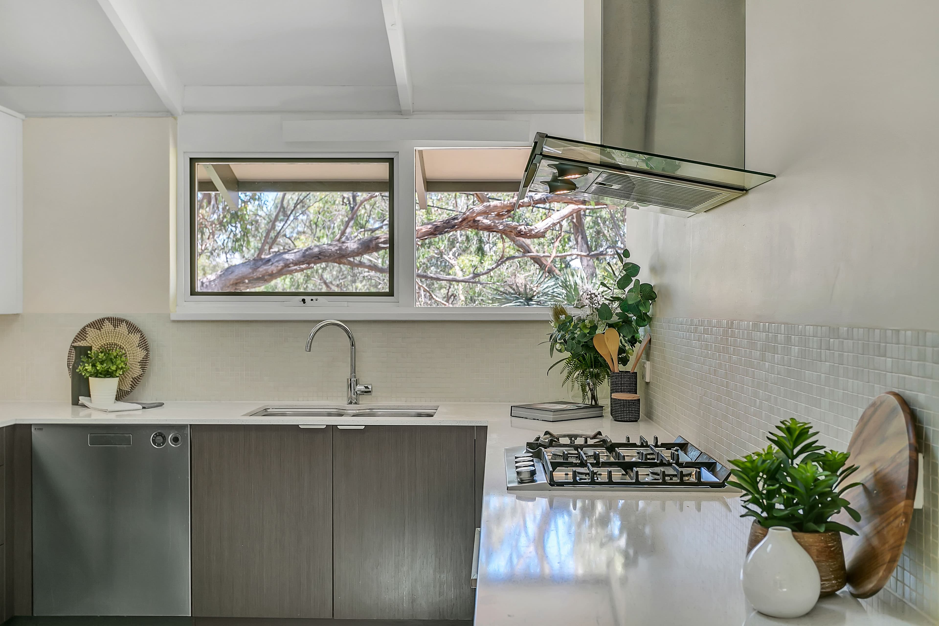 31 Gothic Road, Bellevue Heights SA 5050, Bellevue Heights - Thumbnail 5