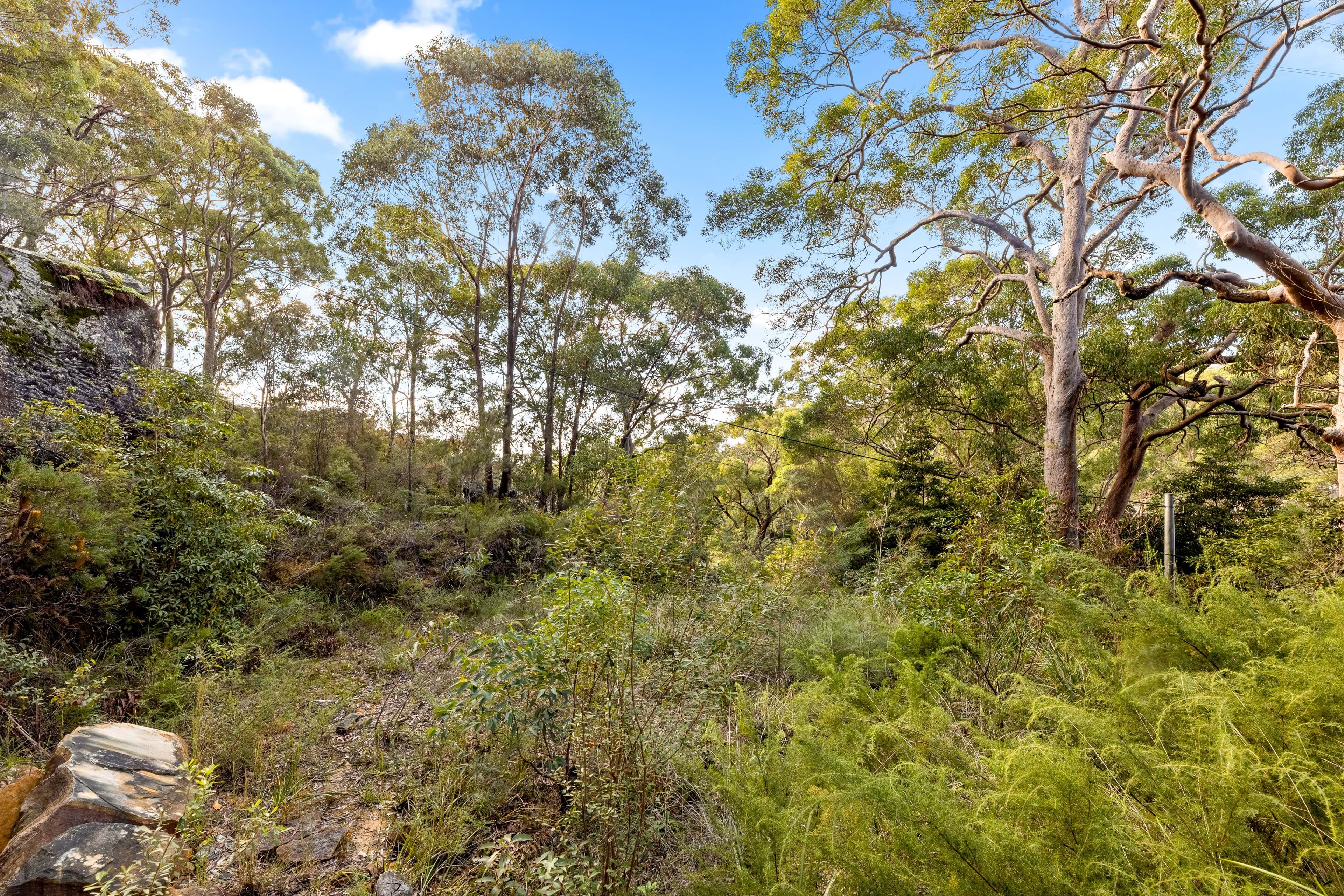 59 Old Ferry Road, Illawong NSW 2234, Illawong - Thumbnail 6